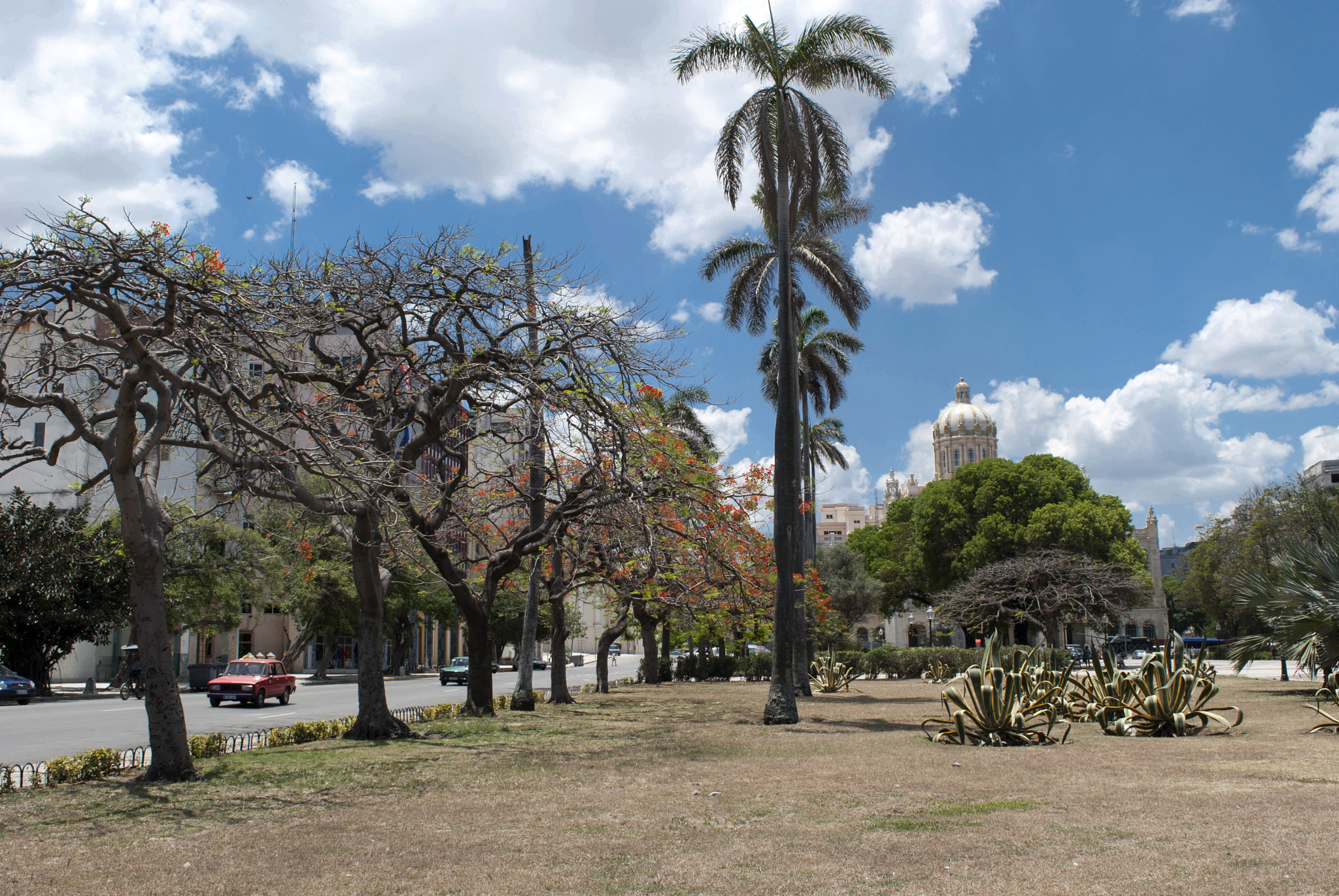 Nikon D40X sample photo. Avenidamisiones photography