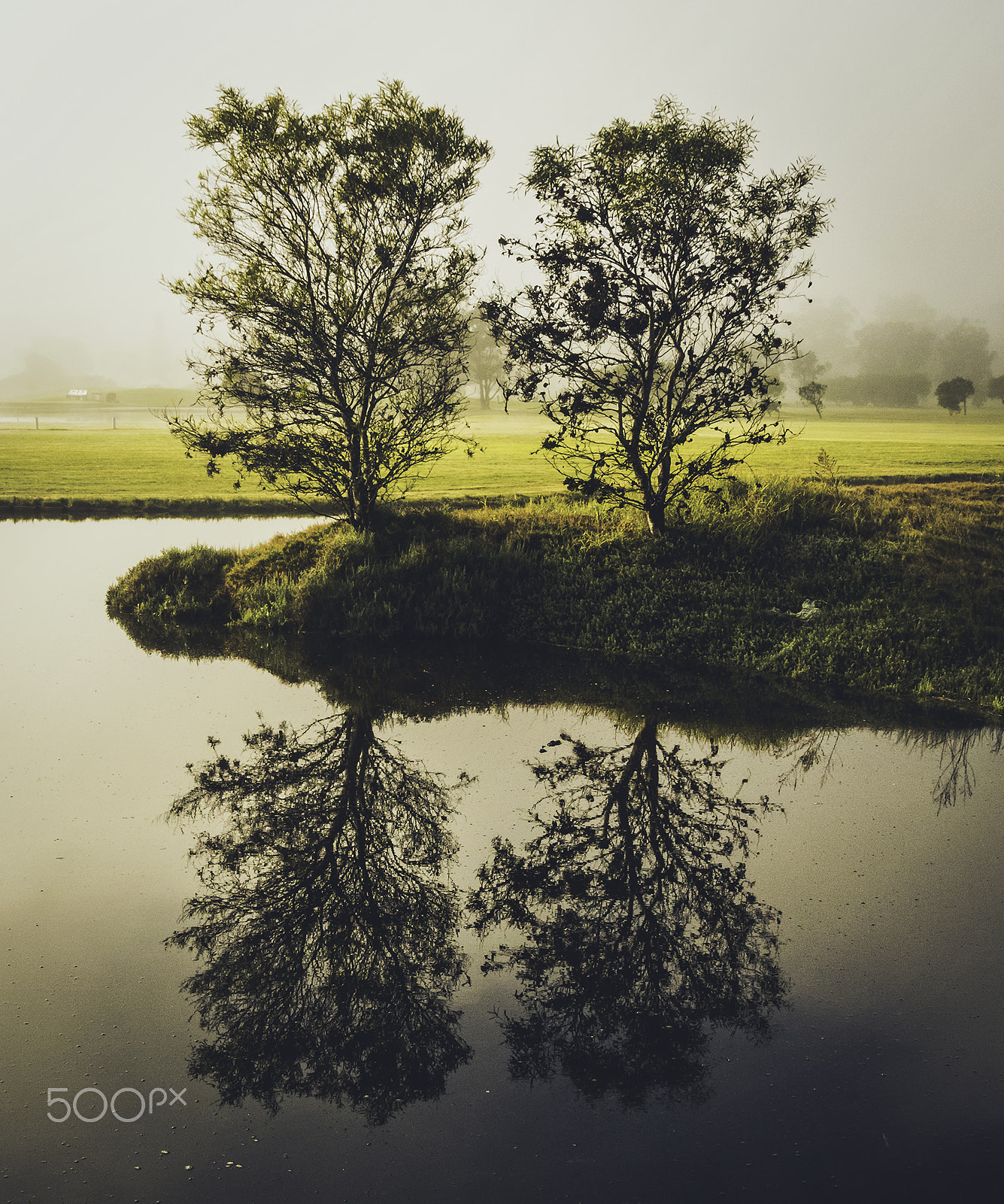Sigma 18-250mm F3.5-6.3 DC OS HSM sample photo. 4 x reflection on a misty morning photography