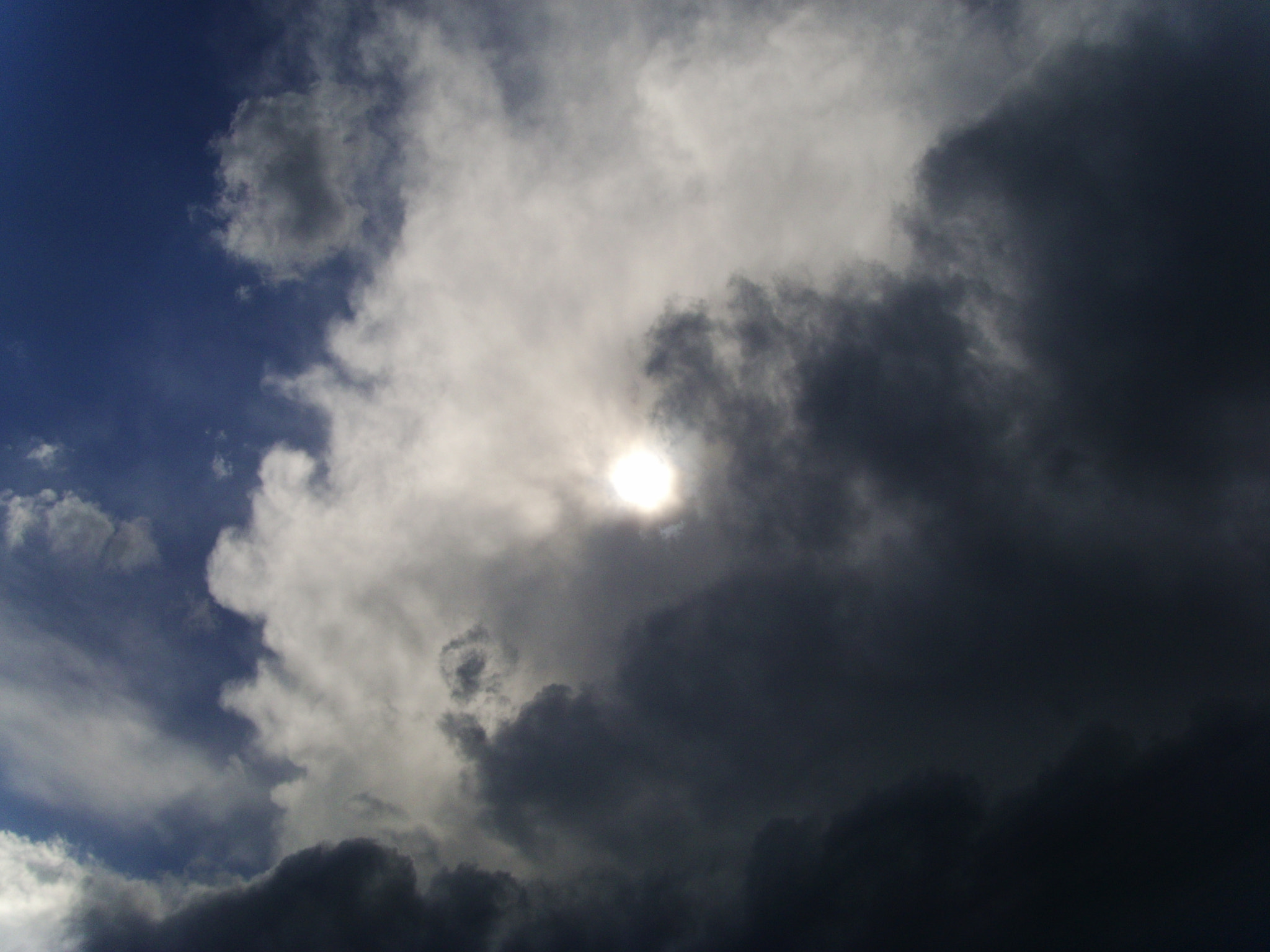 DIGITAL CAM sample photo. Sunshine photography