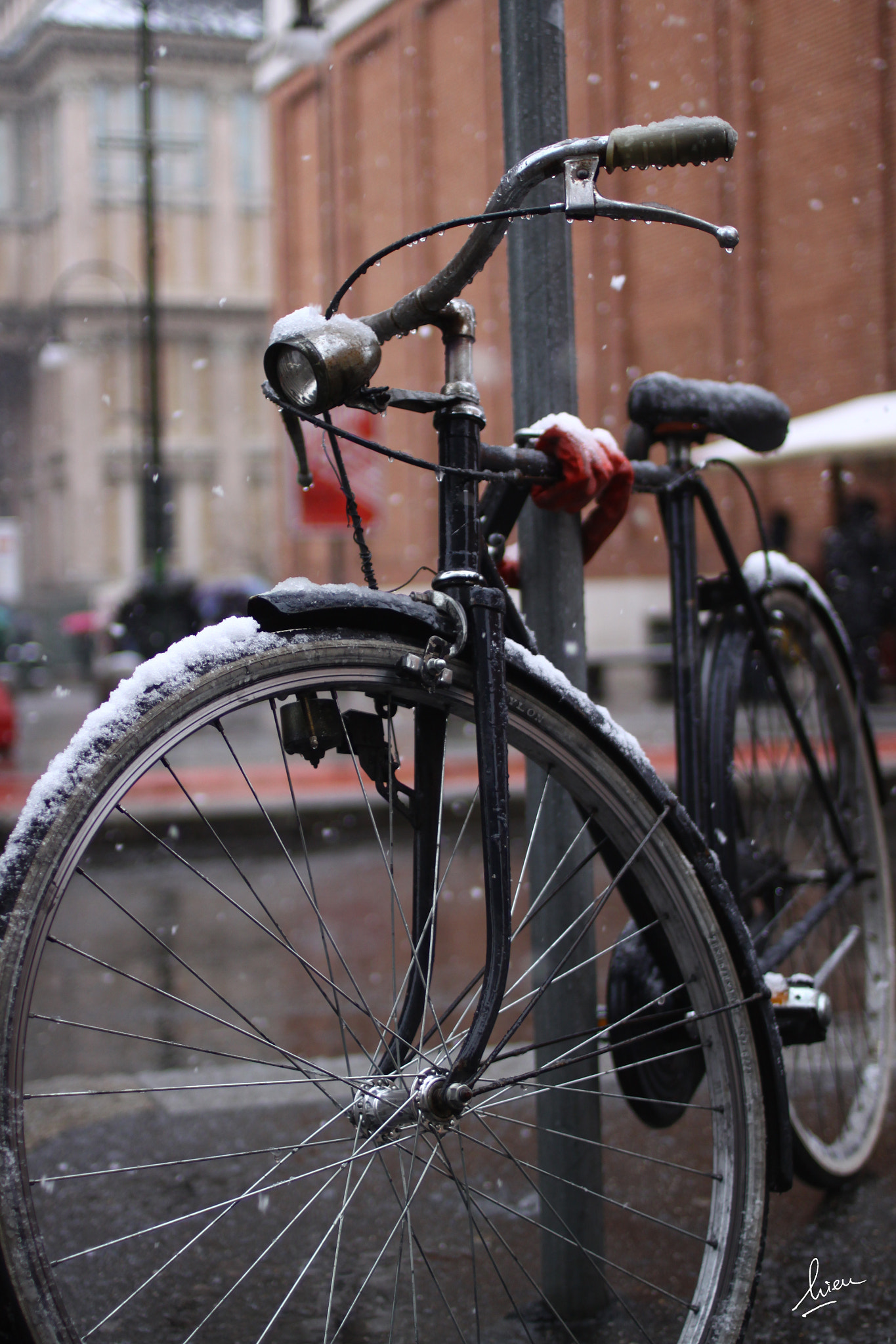 Canon EOS 500D (EOS Rebel T1i / EOS Kiss X3) + Canon EF 35mm F2 sample photo. Snowday in torino, italy photography