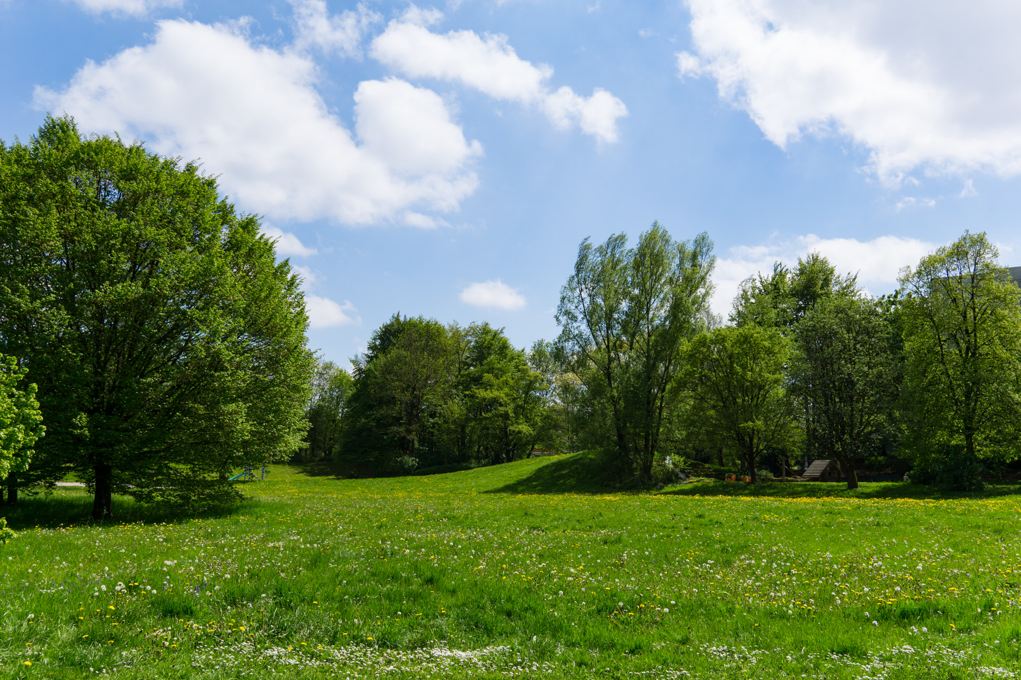 Sony a5100 + Sigma 19mm F2.8 EX DN sample photo. Spring time photography