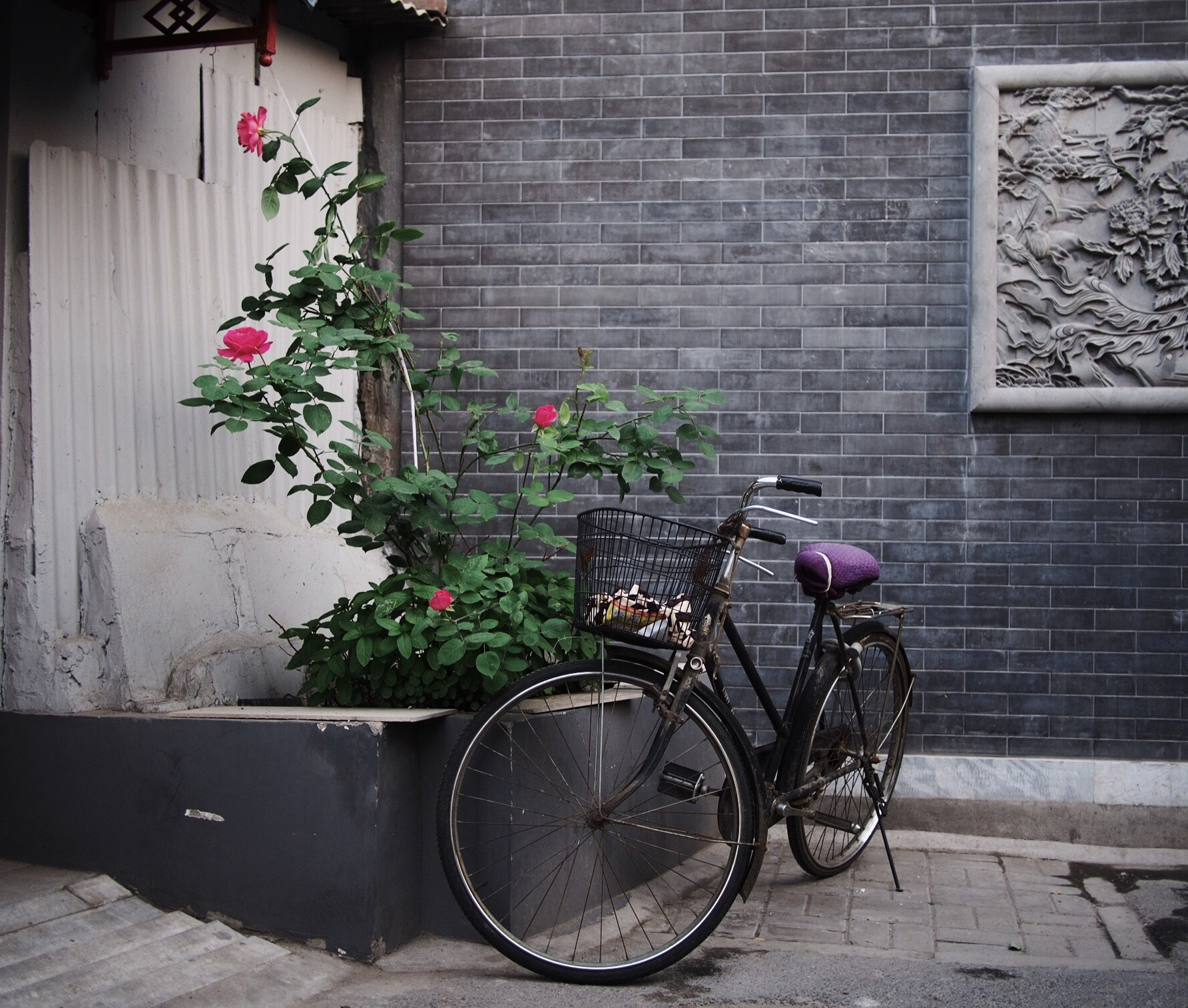 Olympus PEN E-P5 + Panasonic Lumix G 20mm F1.7 ASPH sample photo