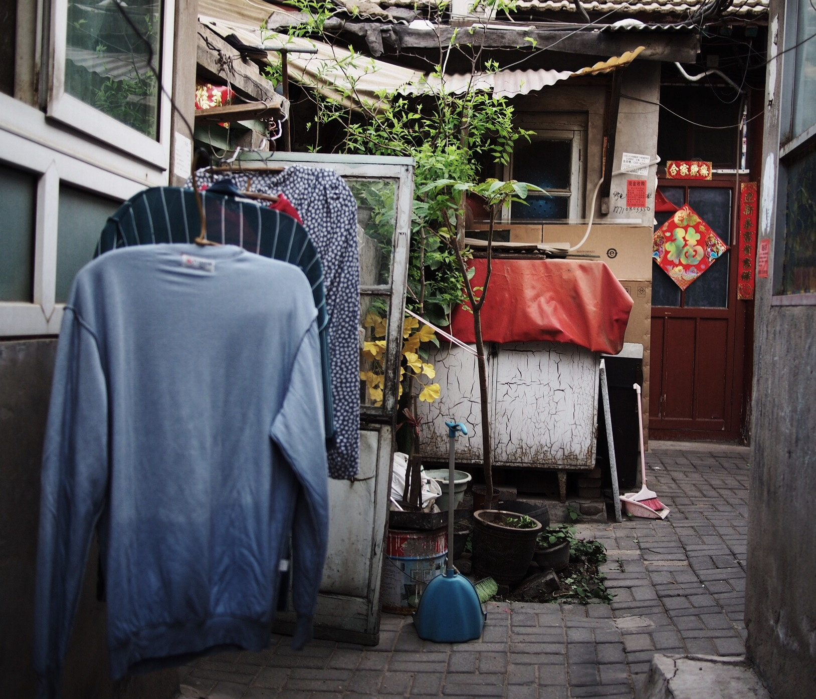 Olympus PEN E-P5 + Panasonic Lumix G 20mm F1.7 ASPH sample photo