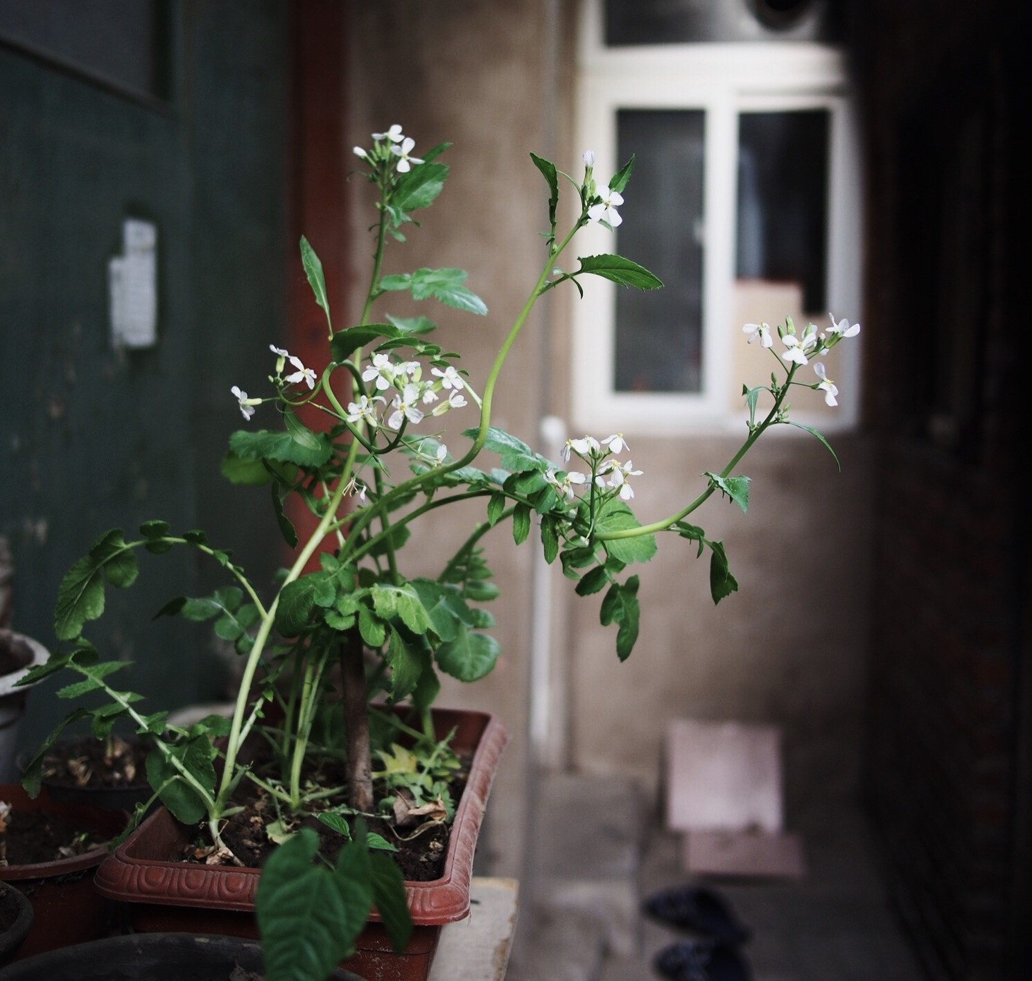 Olympus PEN E-P5 + Panasonic Lumix G 20mm F1.7 ASPH sample photo