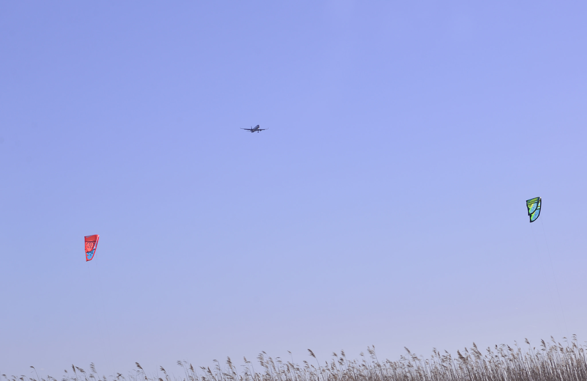 Nikon D600 sample photo. Different flymodes photography
