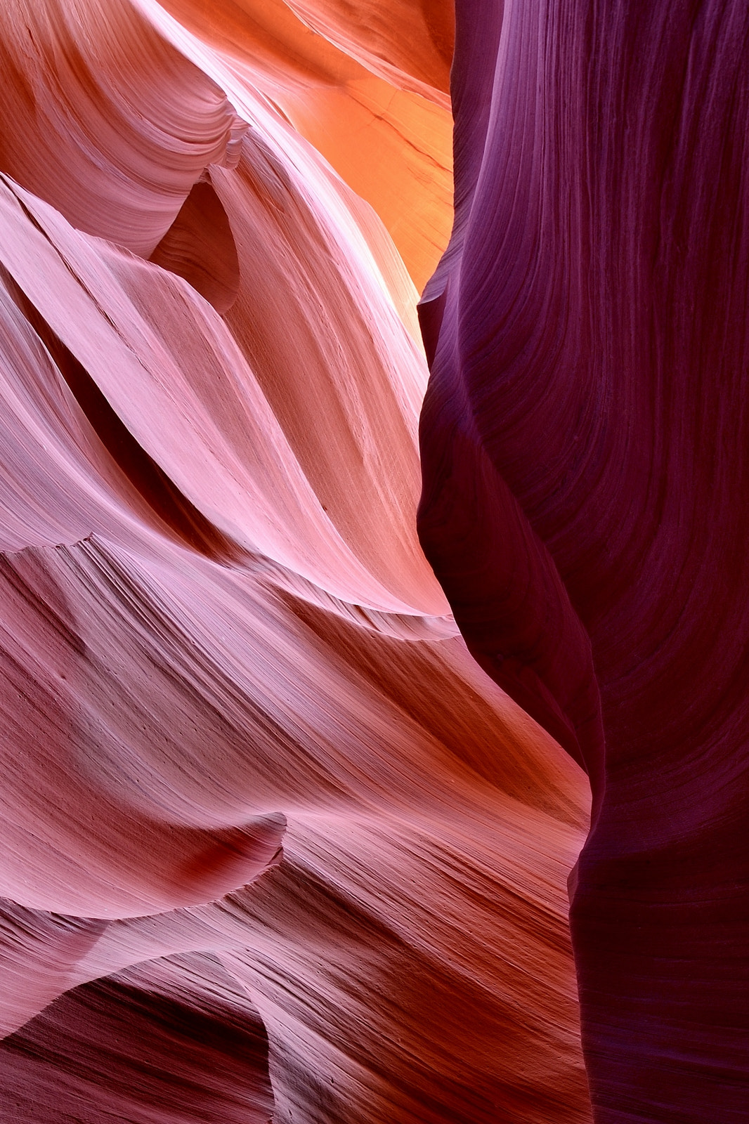 Nikon D600 sample photo. Vertical wall photography