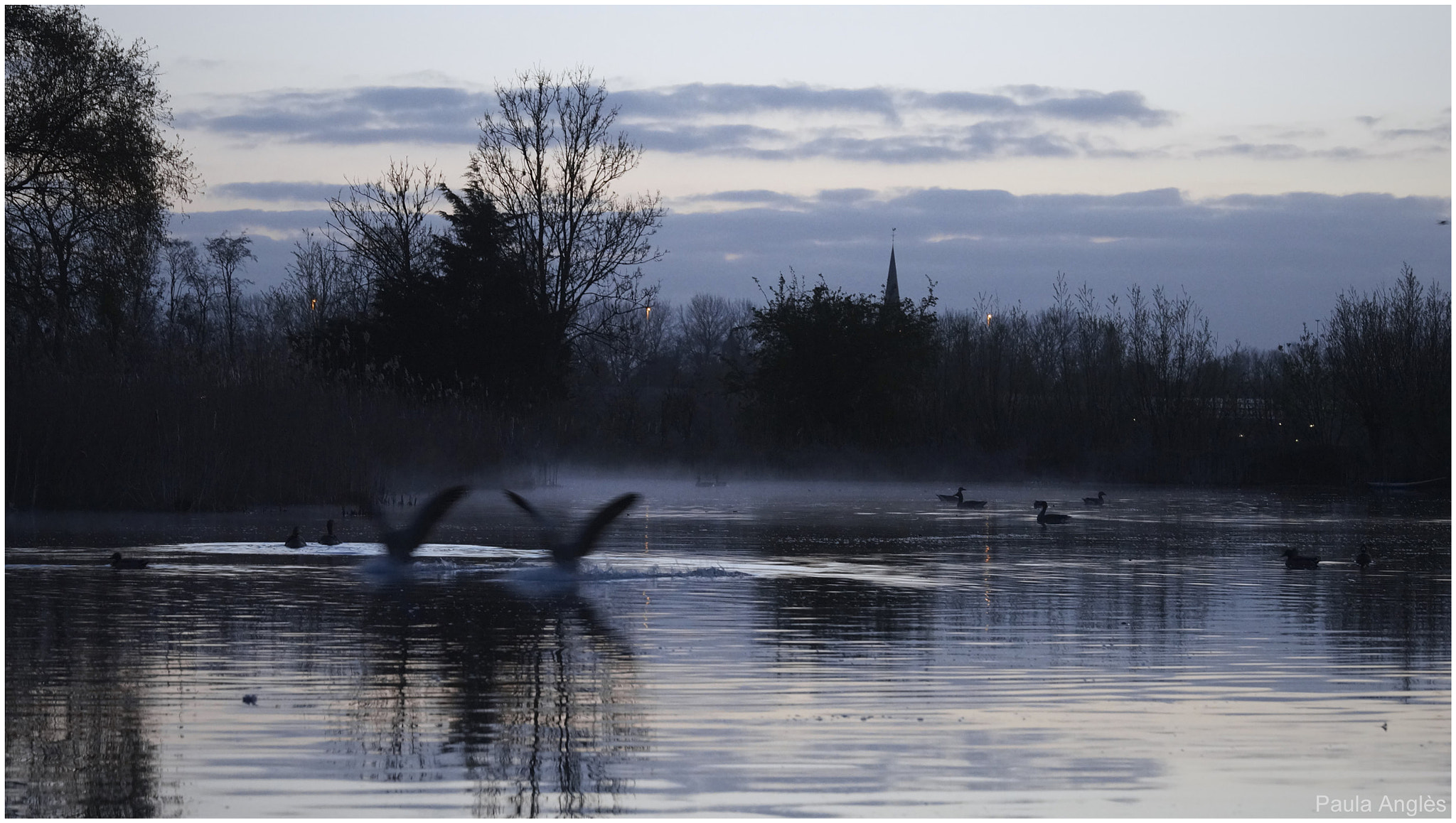 Sony a99 II + Tamron SP 70-200mm F2.8 Di VC USD sample photo. Amstel at sunrise photography