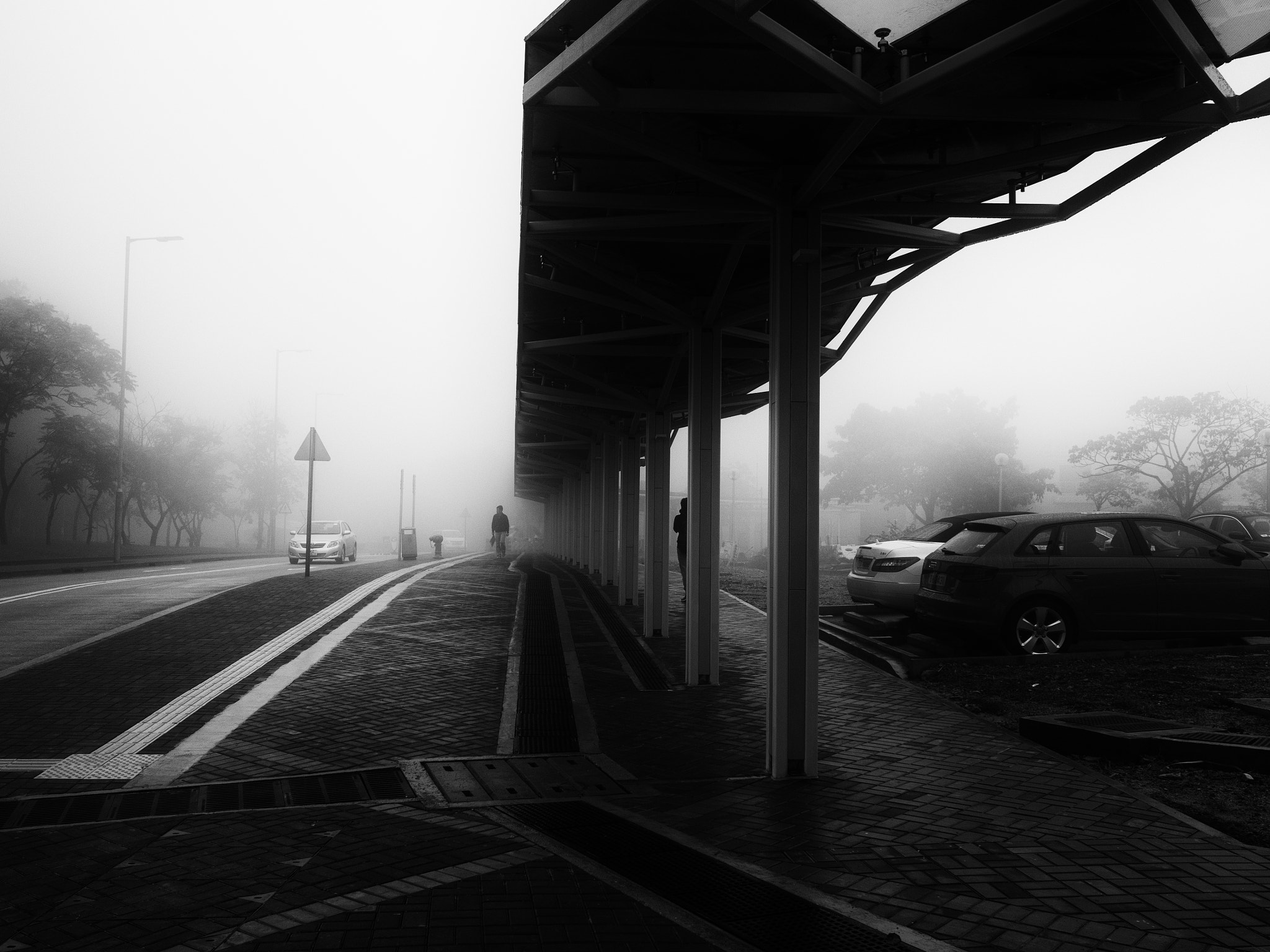 LEICA DG SUMMILUX 15/F1.7 sample photo. Foggy photography