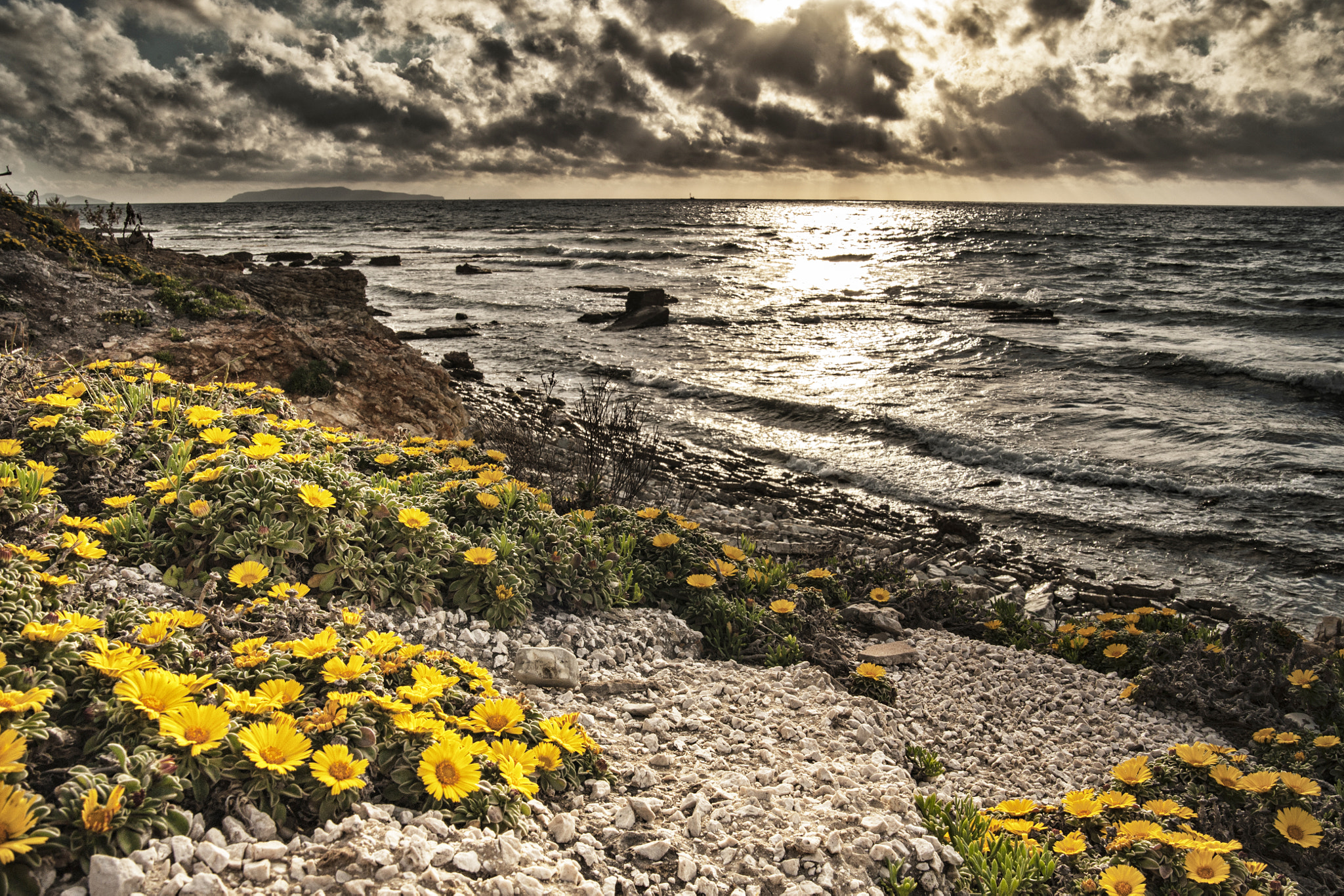 Nikon D700 + Tamron SP 35mm F1.8 Di VC USD sample photo. Un romantico tramonto photography