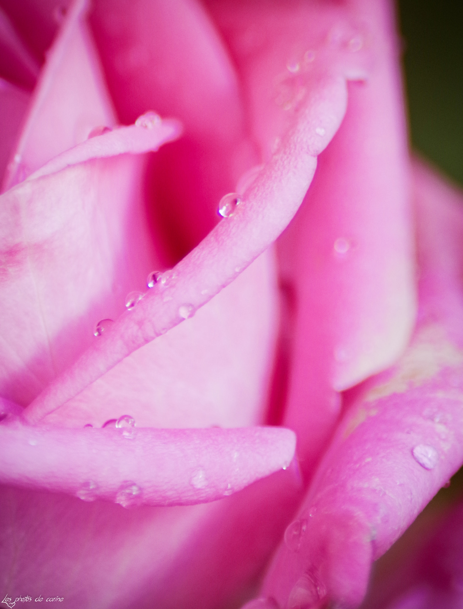 Tamron AF 70-300mm F4-5.6 Di LD Macro sample photo. Art photography