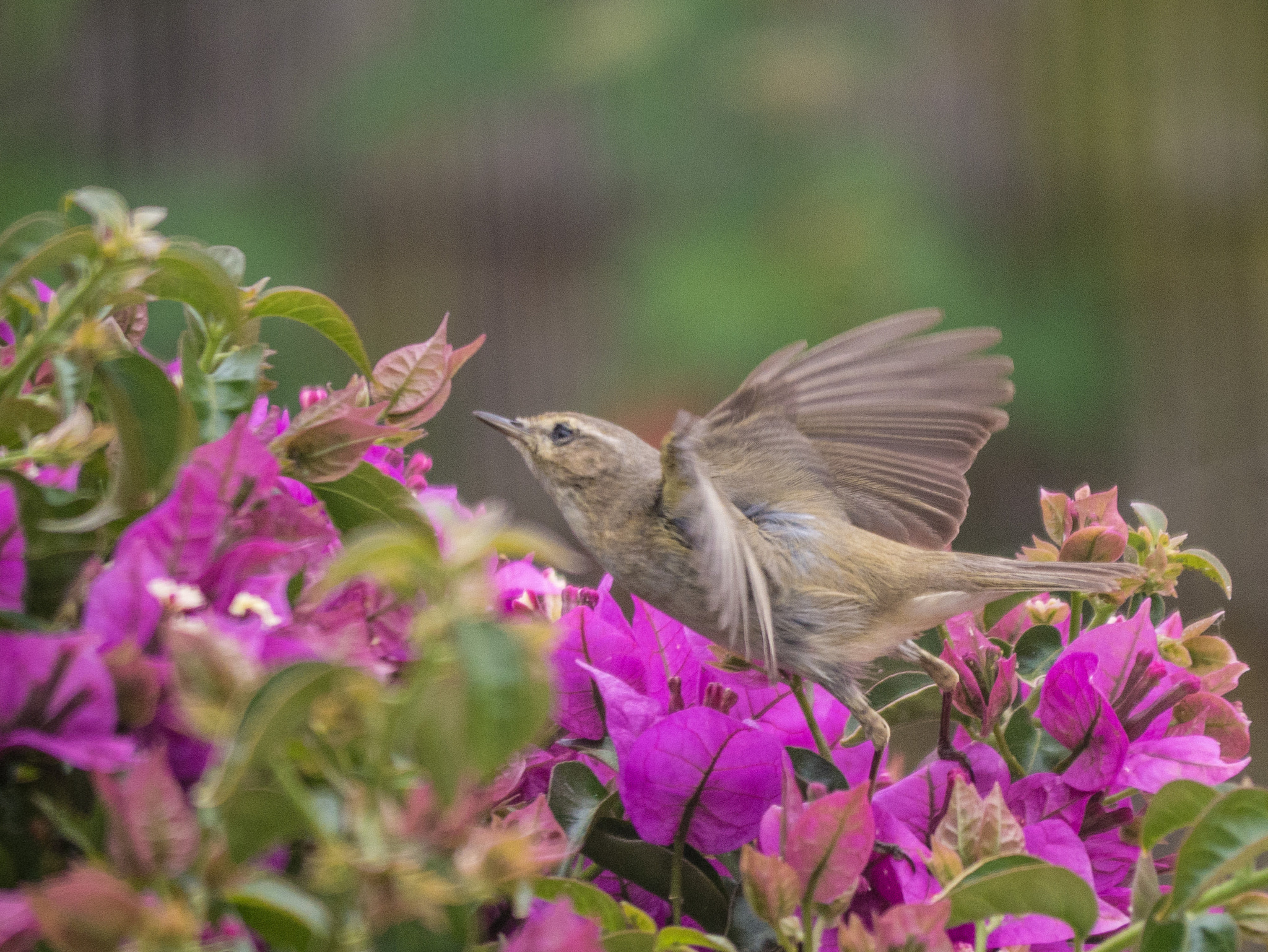 Panasonic Lumix DMC-GX7 sample photo. Up and away photography