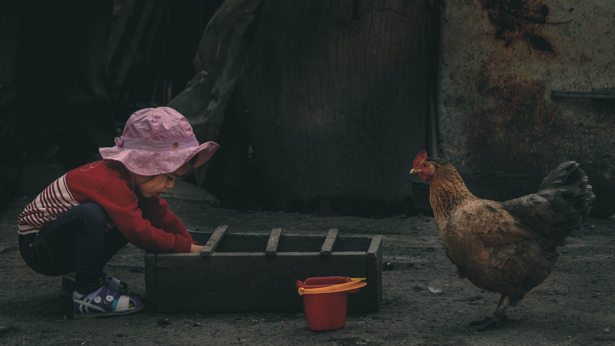 AF Nikkor 70-210mm f/4-5.6D sample photo. Countryside childhood photography