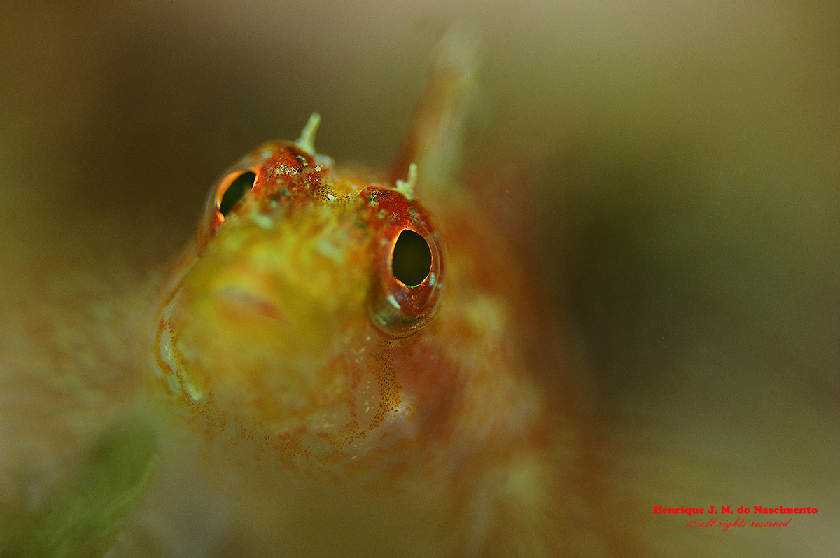 Sigma 105mm F2.8 EX DG OS HSM sample photo. Waiting for the shoot... photography