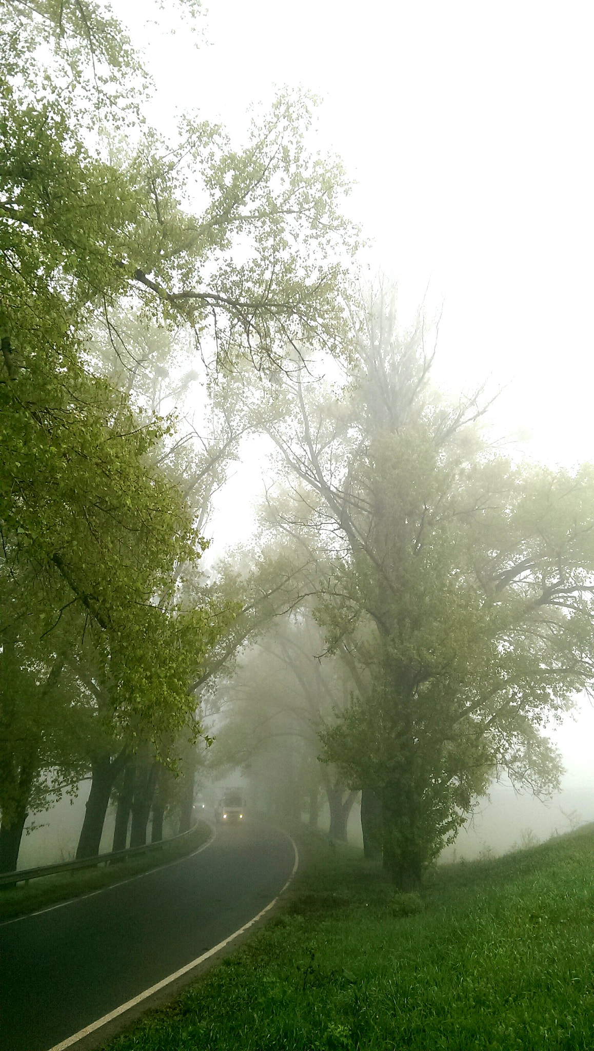 HTC ONE DUAL SIM sample photo