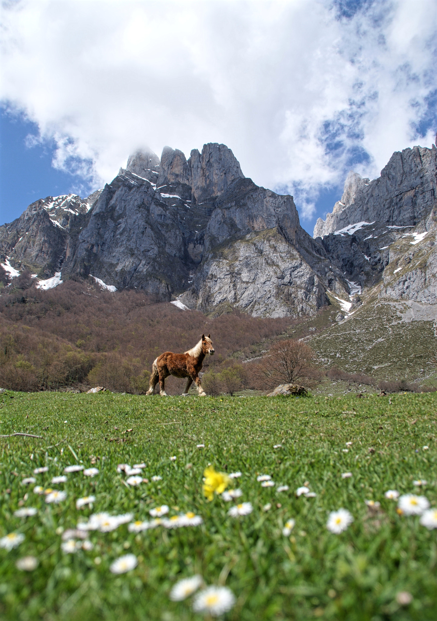 Sony DT 18-200mm F3.5-6.3 sample photo. Picos de europa photography