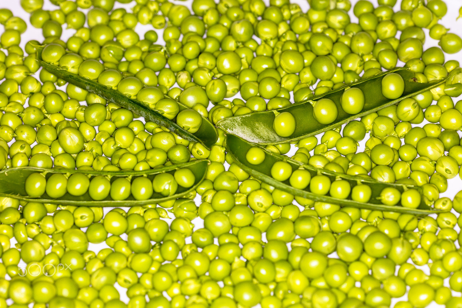 Sigma 150mm f/2.8 EX DG OS HSM APO Macro sample photo. Fresh green peas photography