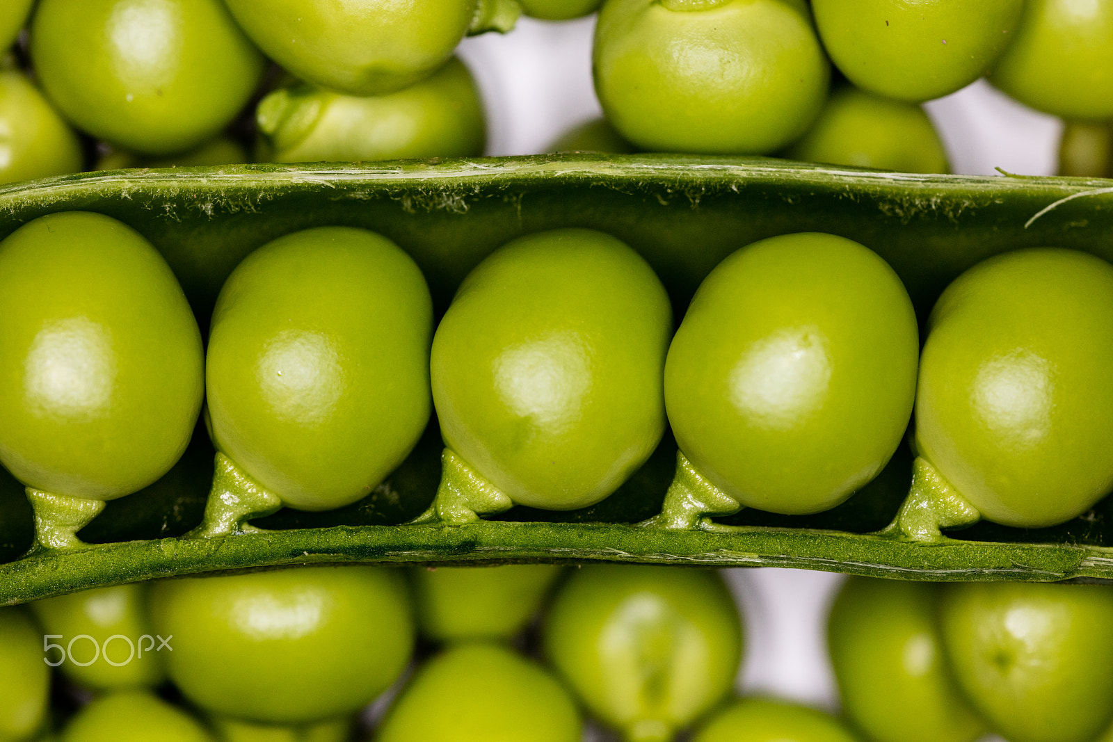 Sigma 150mm f/2.8 EX DG OS HSM APO Macro sample photo. Fresh green peas photography