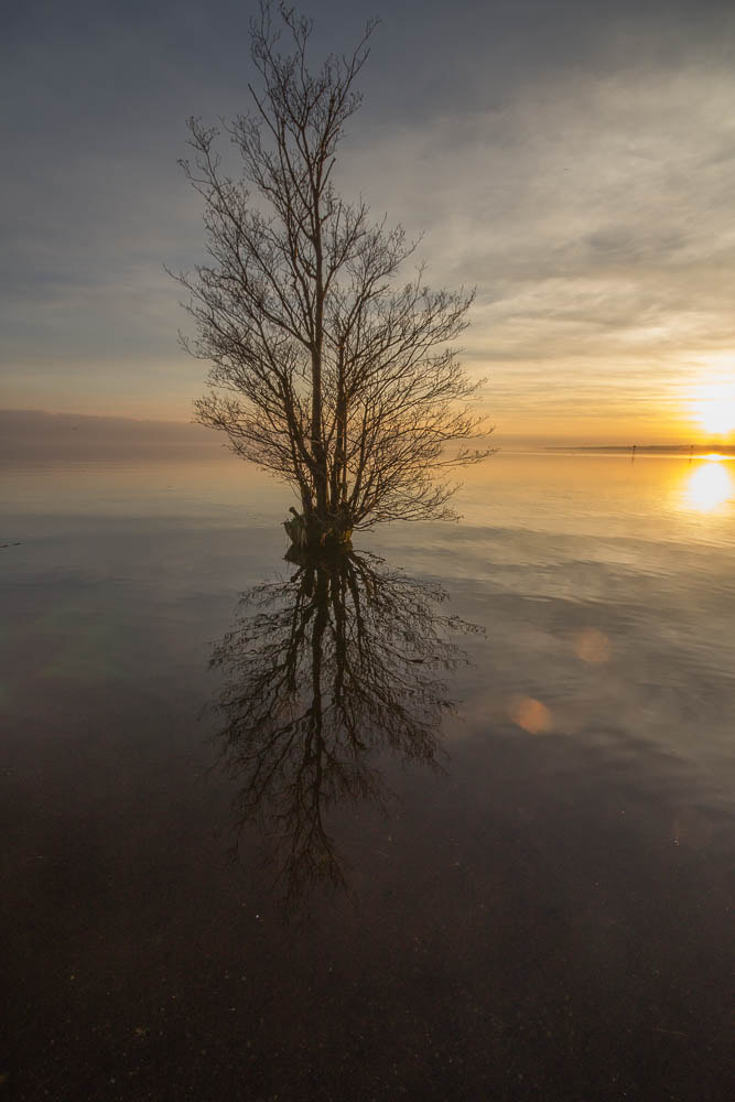 Canon EOS 1200D (EOS Rebel T5 / EOS Kiss X70 / EOS Hi) + Sigma 10-20mm F4-5.6 EX DC HSM sample photo. Lough neagh 3 photography