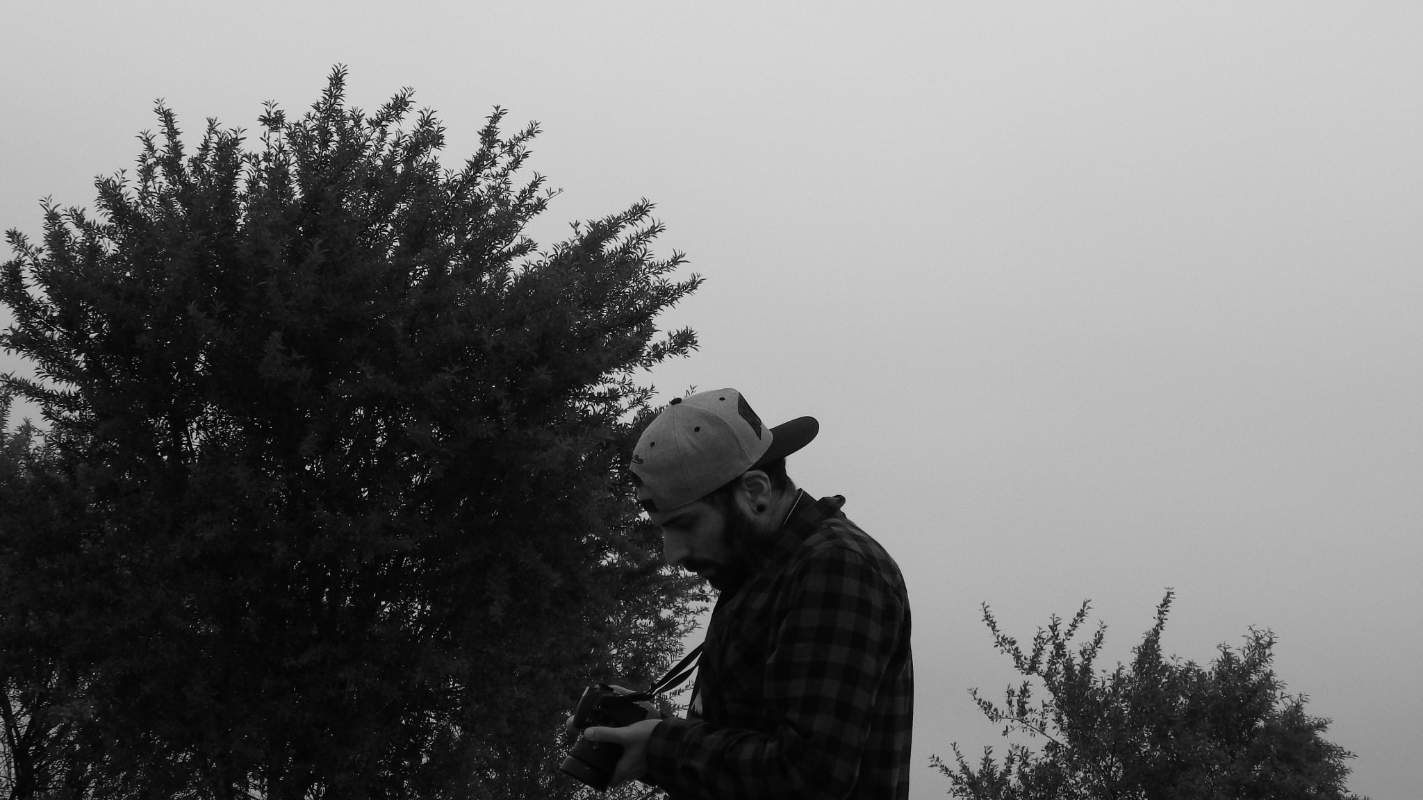 Pentax X-5 sample photo. Myself photography
