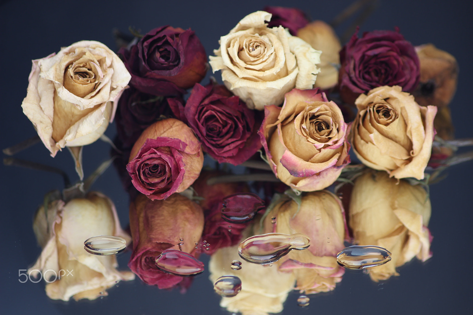 Sigma 70-300mm F4-5.6 APO DG Macro sample photo. Roses and water photography