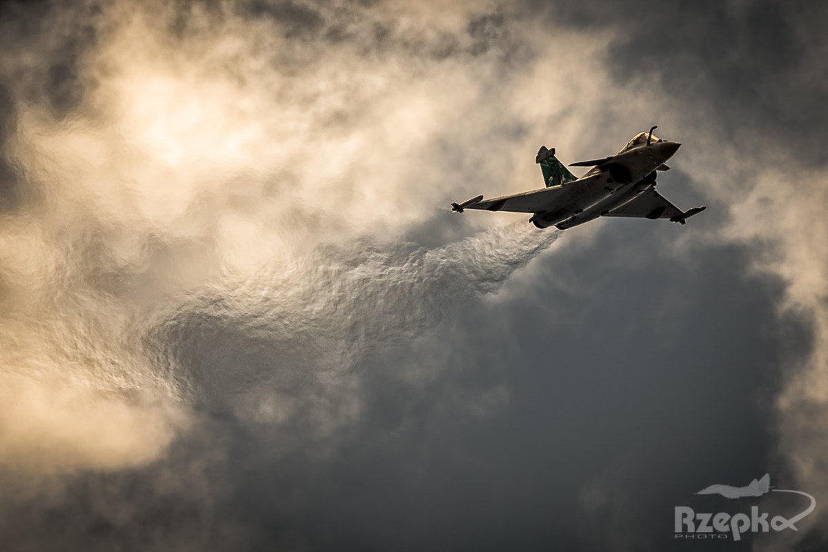 Canon EF 300mm F2.8L IS II USM sample photo. Jelly rafale photography