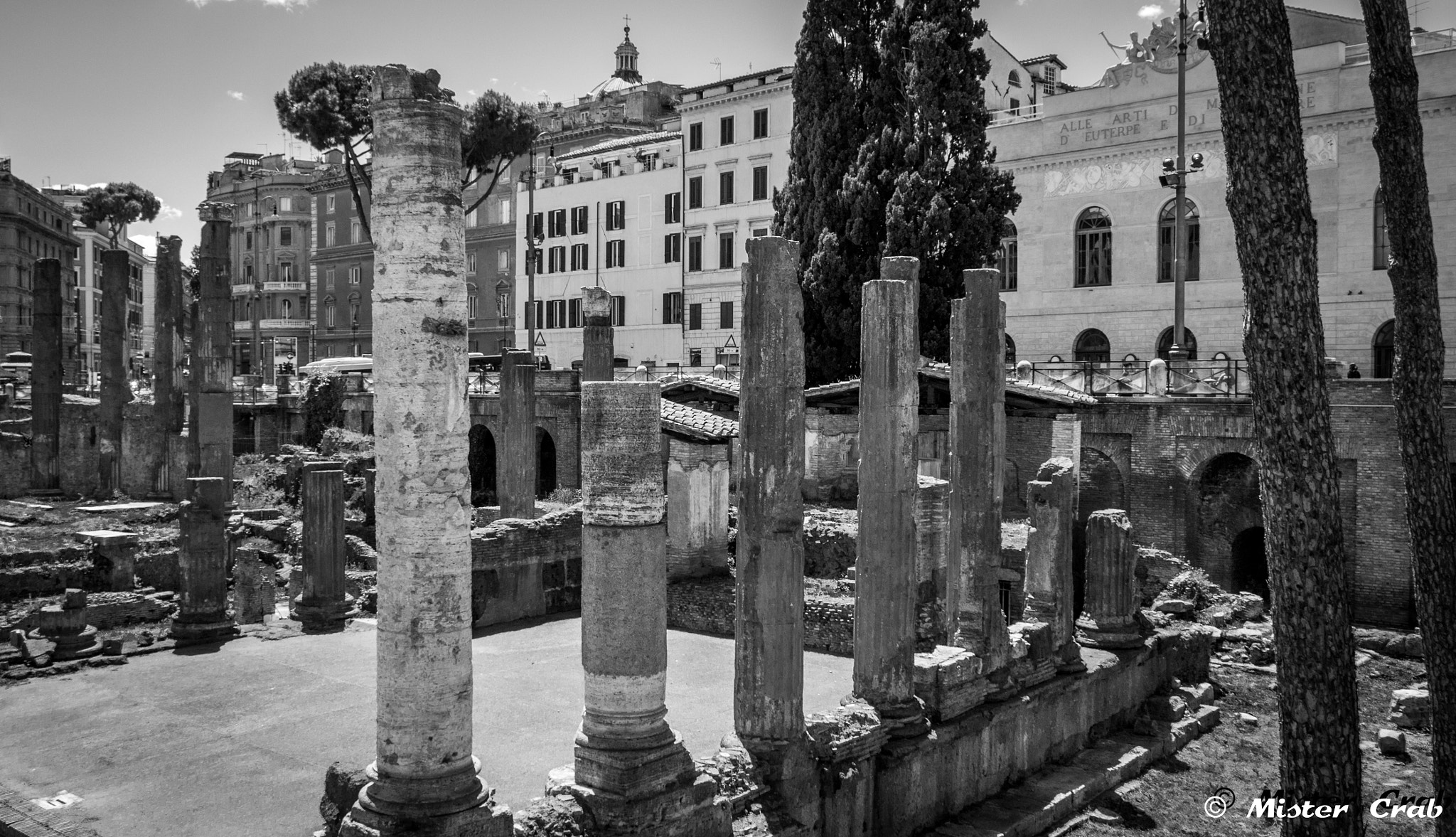 LUMIX G VARIO PZ 14-42/F3.5-5.6 sample photo. Largo di torre argentina photography