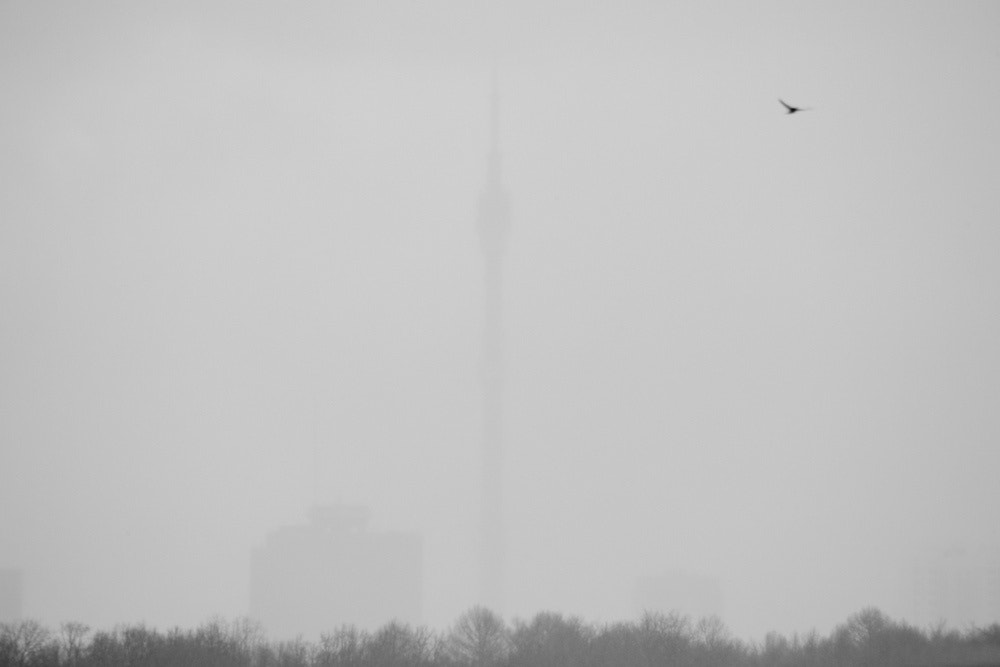 Canon EOS-1Ds Mark III sample photo. Останкино, сильный туман / ostankino, heavy fog photography