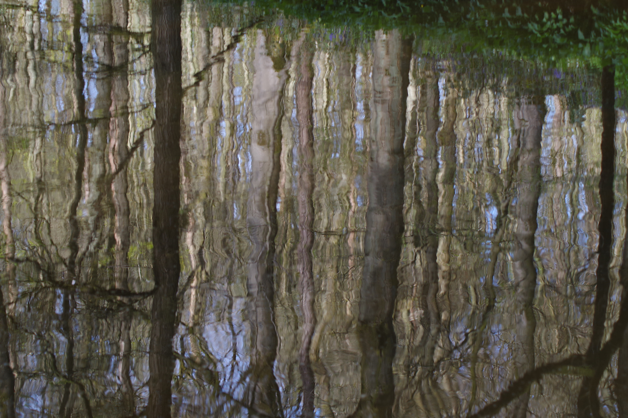 Tamron AF 70-300mm F4-5.6 Di LD Macro sample photo. Reflections photography