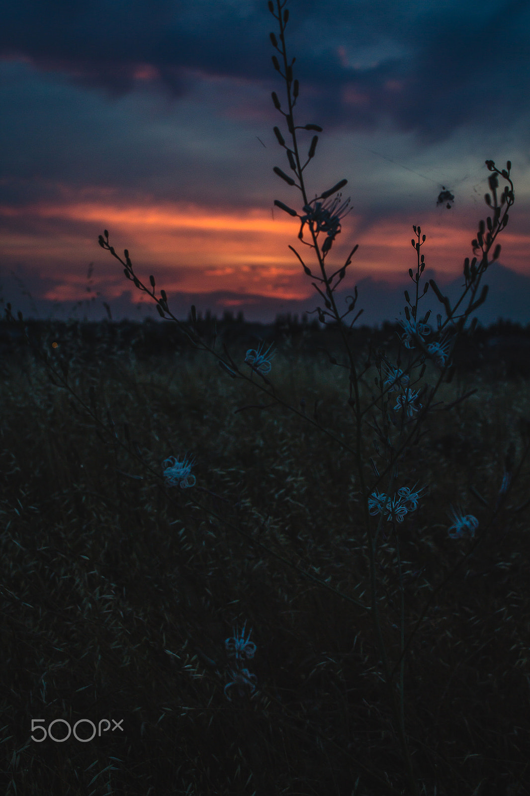 Canon EOS 650D (EOS Rebel T4i / EOS Kiss X6i) sample photo. Fire in the sky photography