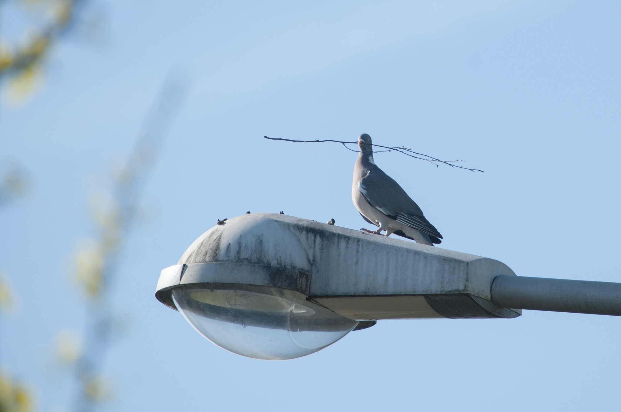 Sigma 50-150mm F2.8 EX APO DC OS HSM sample photo. Just back from hardware store photography