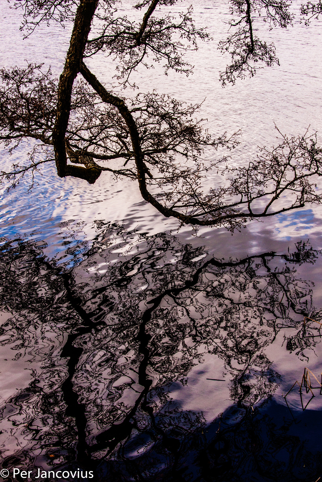 Canon EOS 40D sample photo. Reflections photography