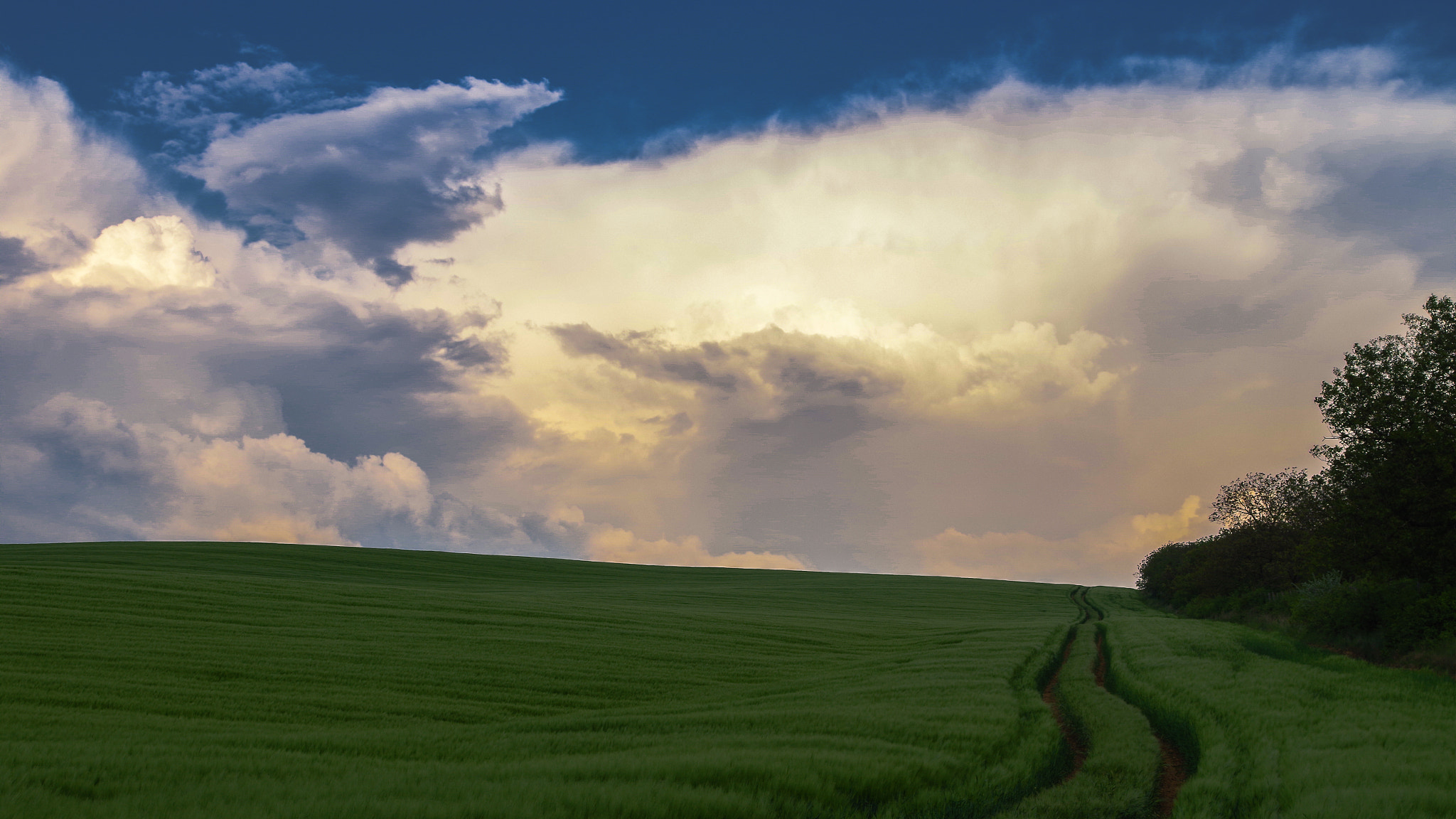 Sigma AF 10-20mm F4-5.6 EX DC sample photo. Before storm photography