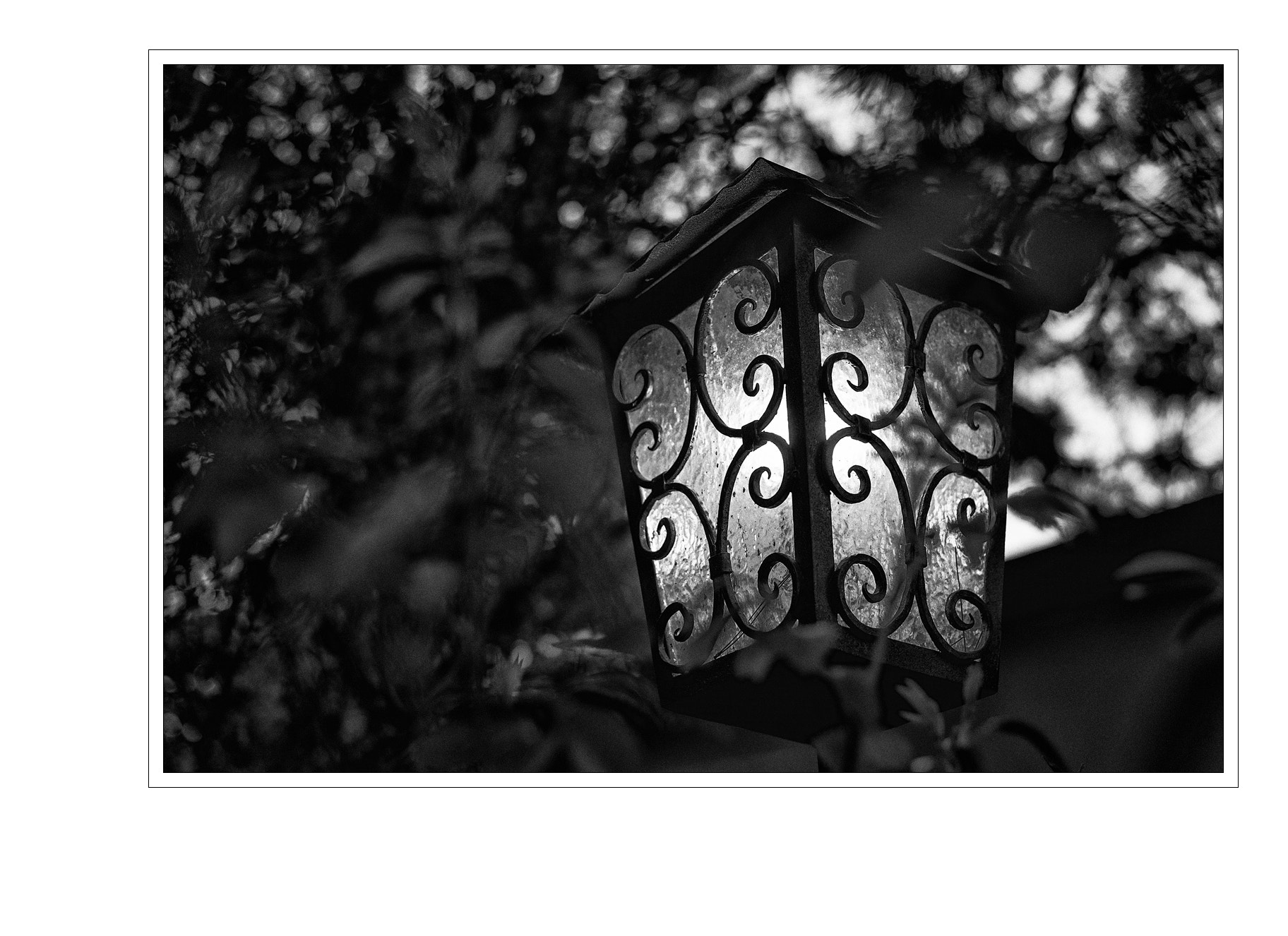 Nikon D4S + Nikon AF-S Nikkor 50mm F1.8G sample photo. Lantern photography