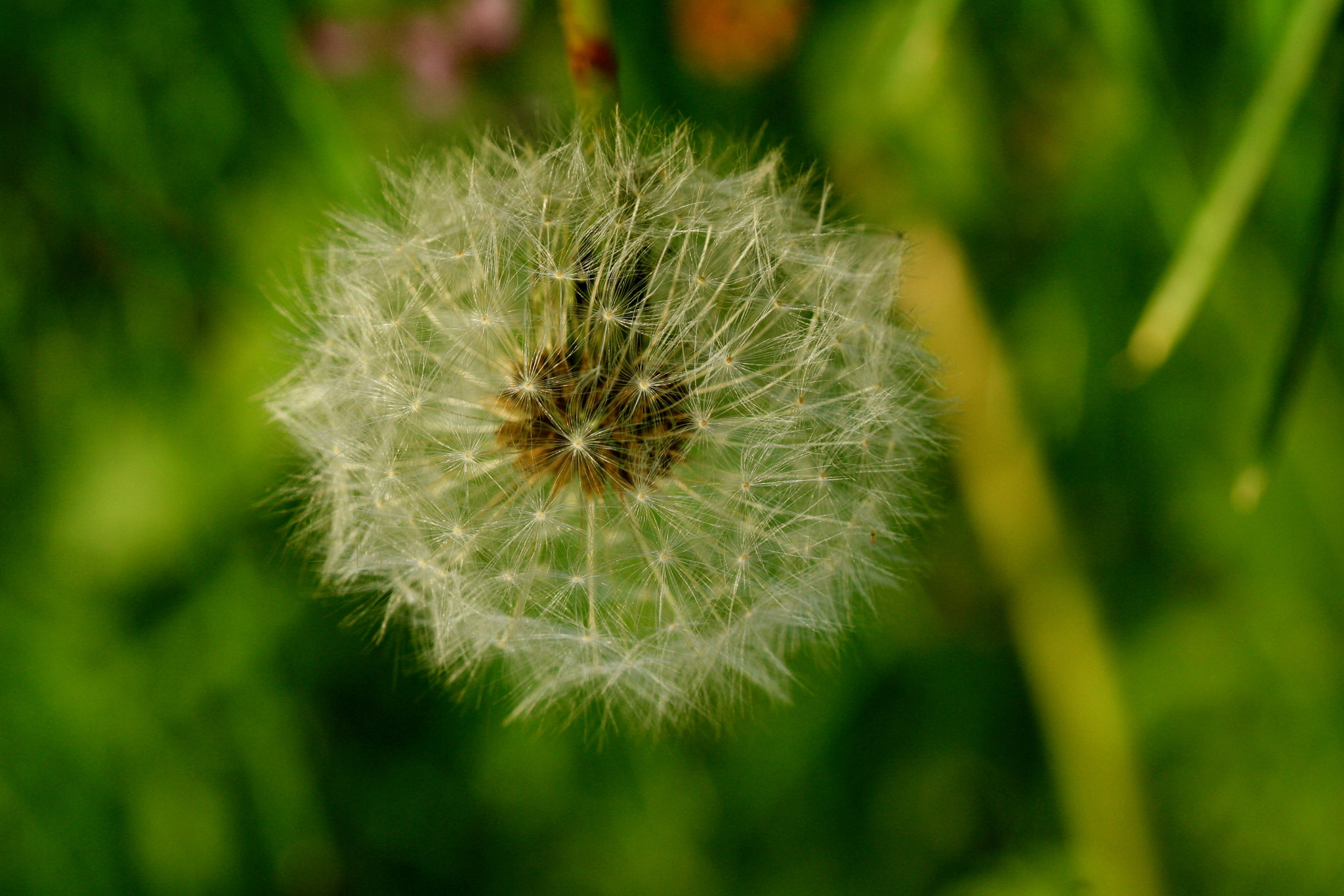 Sigma 105mm F2.8 EX DG OS HSM sample photo. Berlin - weißensee photography