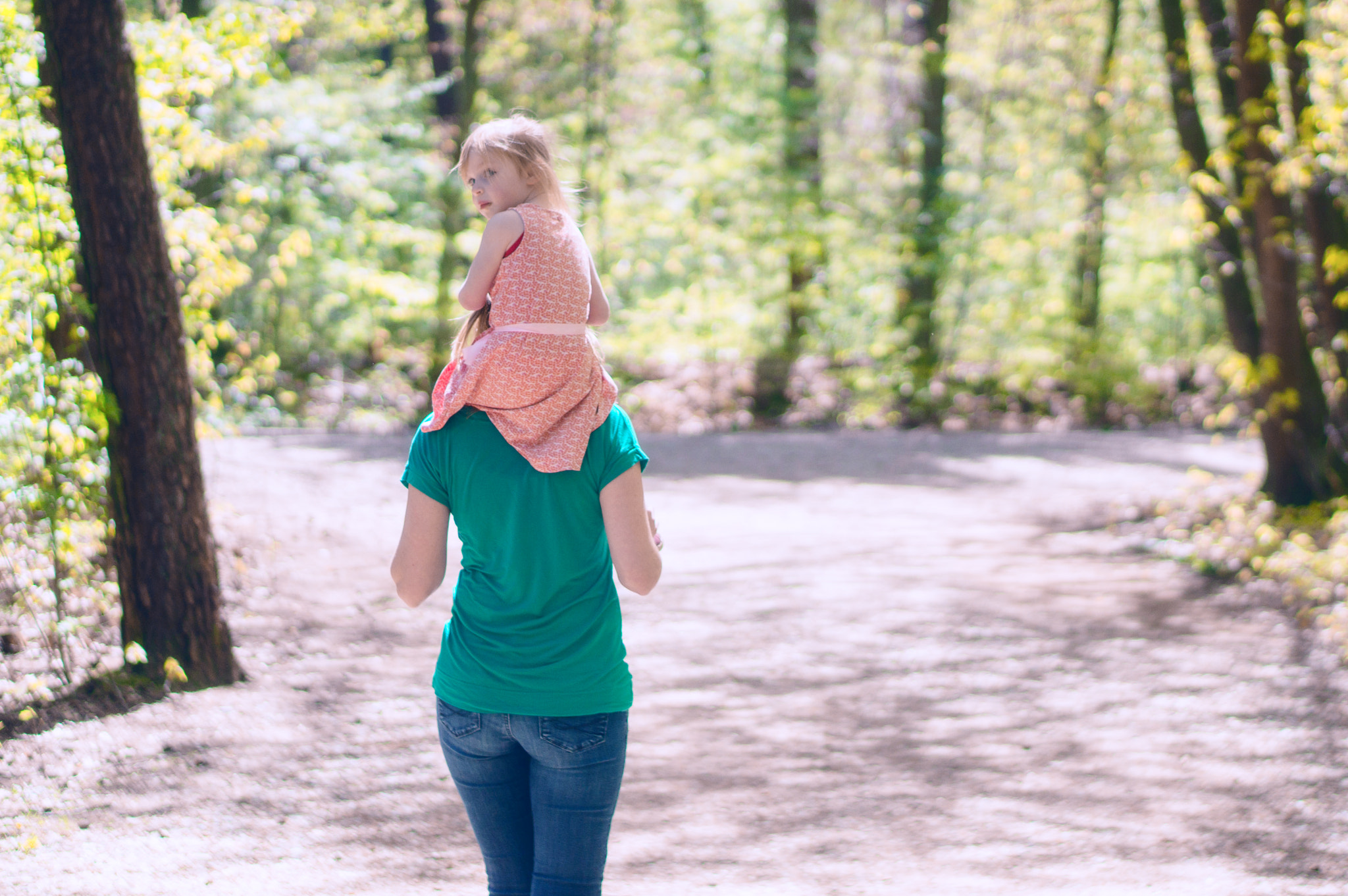 Sony Alpha NEX-5R + E 50mm F1.8 OSS sample photo. Forest walk photography