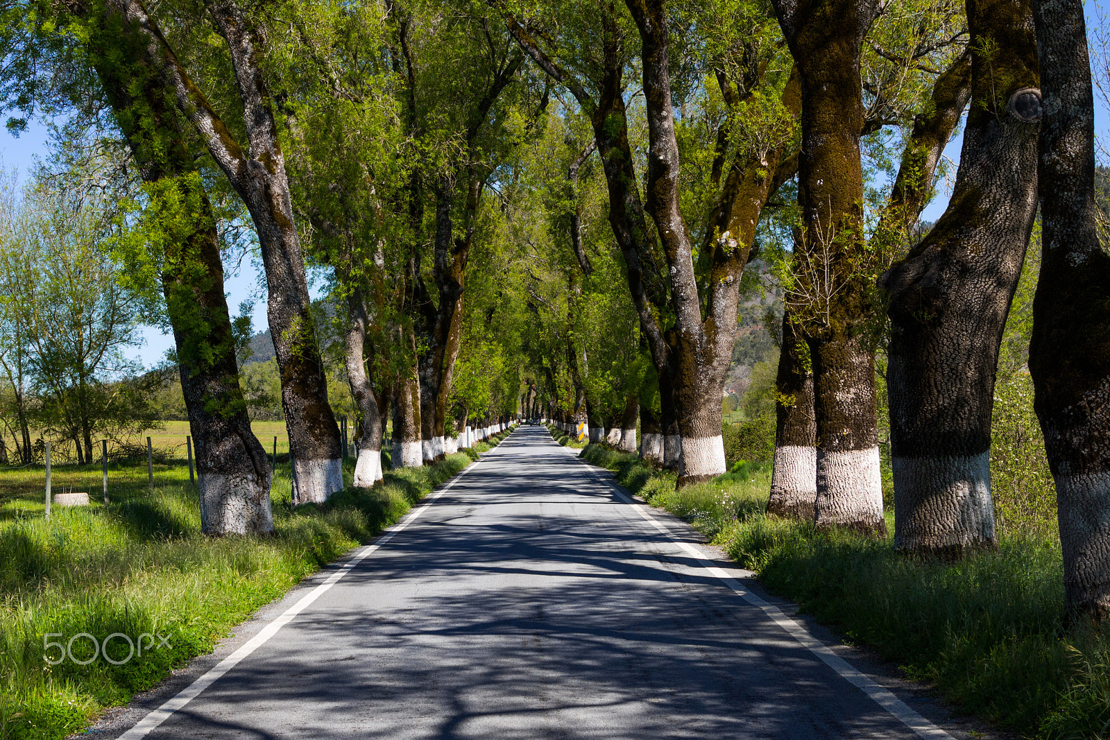 Canon EOS 760D (EOS Rebel T6s / EOS 8000D) + Canon EF 24-105mm F4L IS USM sample photo. Marvão 5 photography