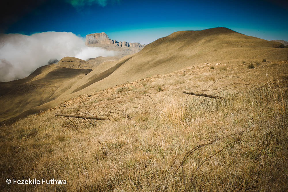 Canon EOS 5D + Canon EF 40mm F2.8 STM sample photo. Witsieshoek photography