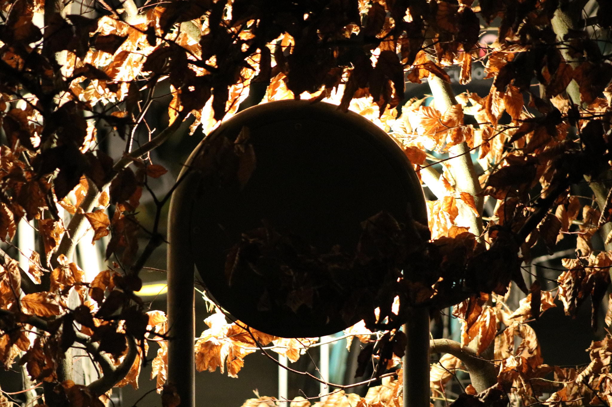 Canon EOS 760D (EOS Rebel T6s / EOS 8000D) + EF75-300mm f/4-5.6 sample photo. Night light photography
