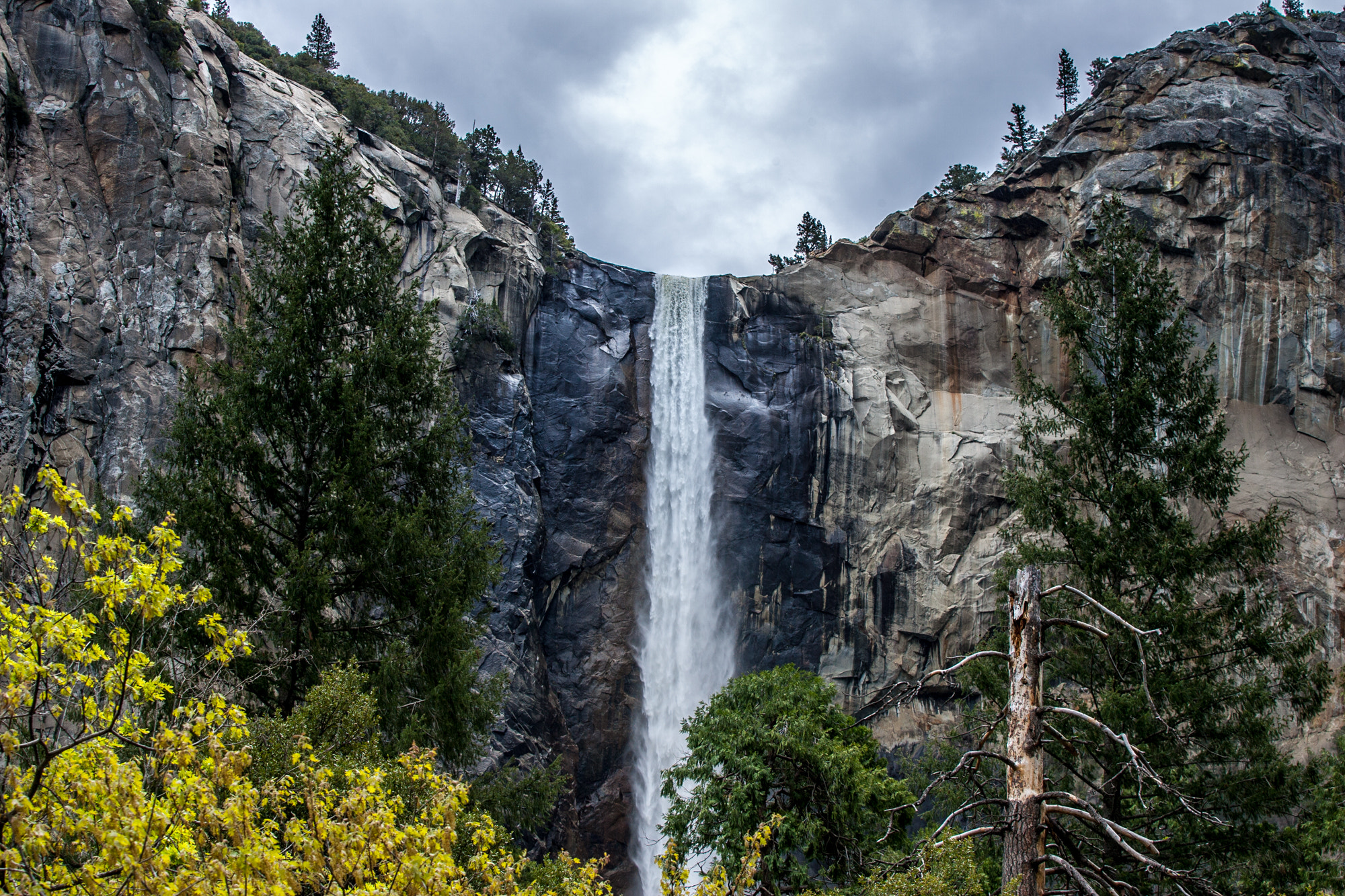 Canon EOS-1D Mark II sample photo. Bridal falls yosemite national park photography