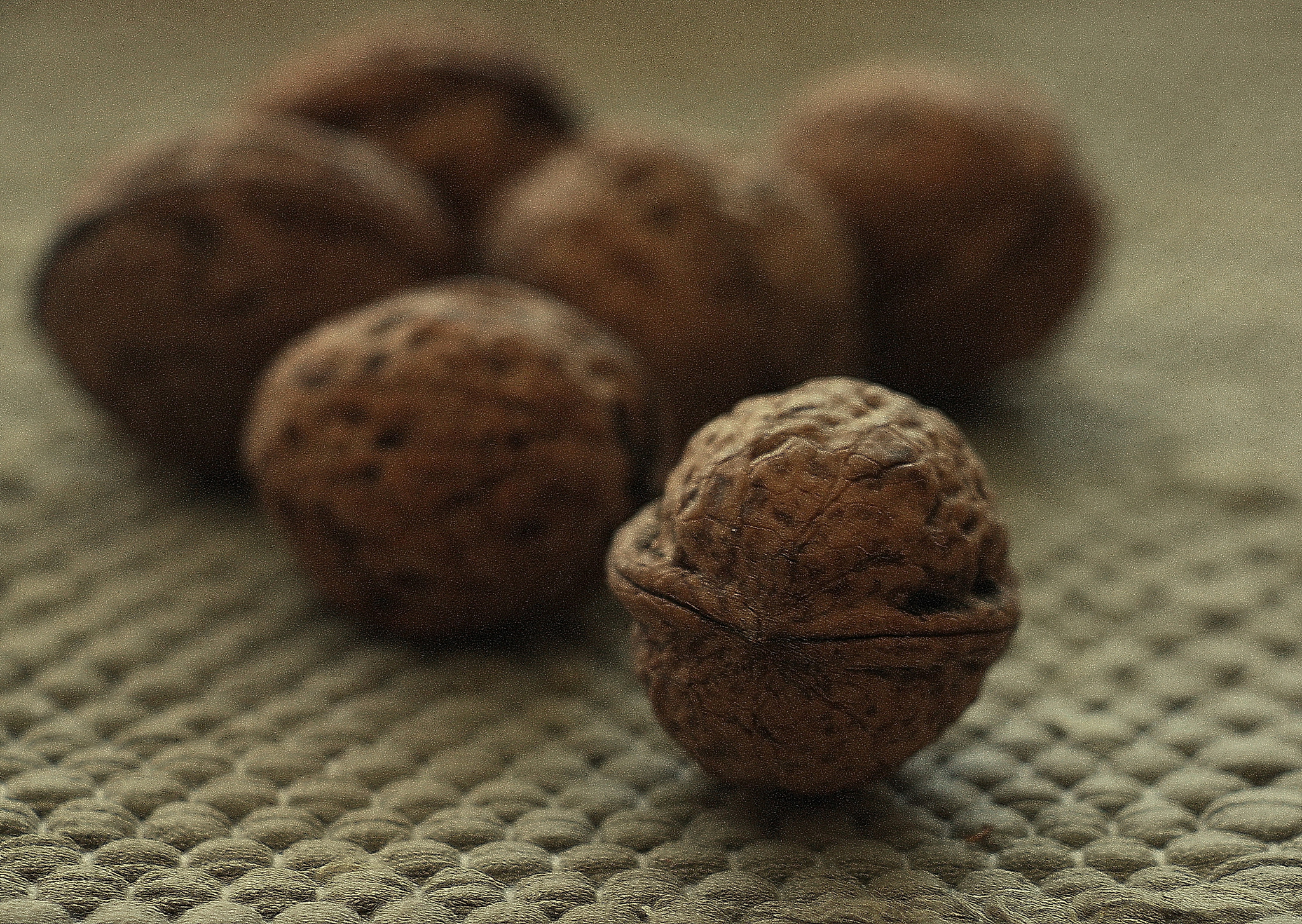 Canon EF-S 18-135mm F3.5-5.6 IS STM sample photo. Walnuts photography