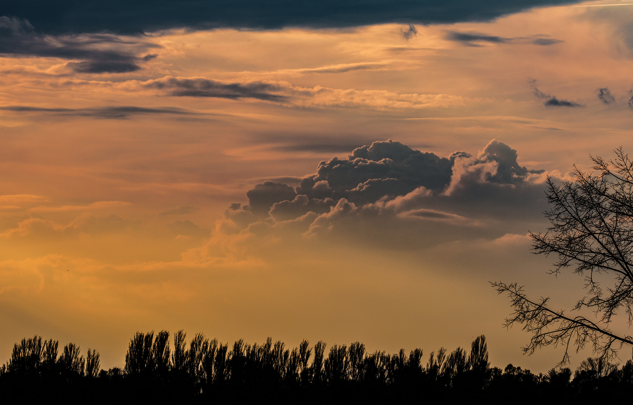 Sigma 150mm F2.8 EX DG OS Macro HSM sample photo. Clouds over trees photography
