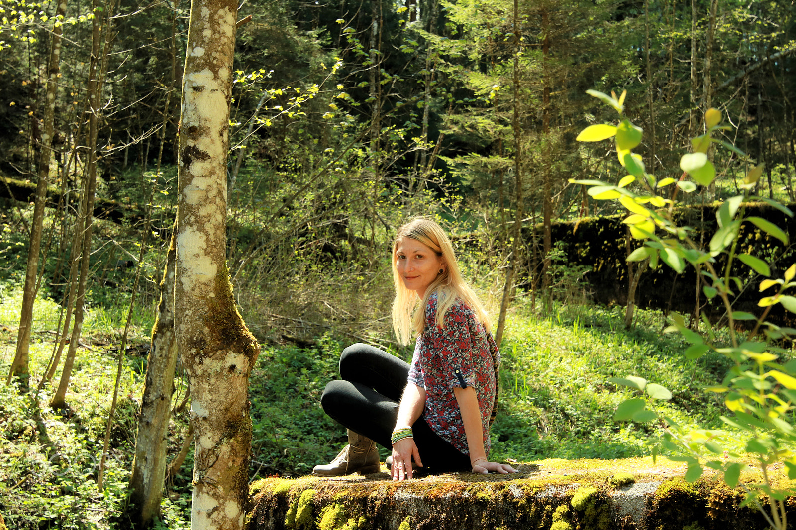 Canon EOS 750D (EOS Rebel T6i / EOS Kiss X8i) sample photo. In the wood1 photography