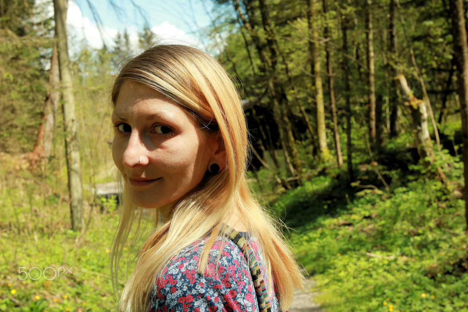 Canon EOS 750D (EOS Rebel T6i / EOS Kiss X8i) sample photo. In the wood2 photography