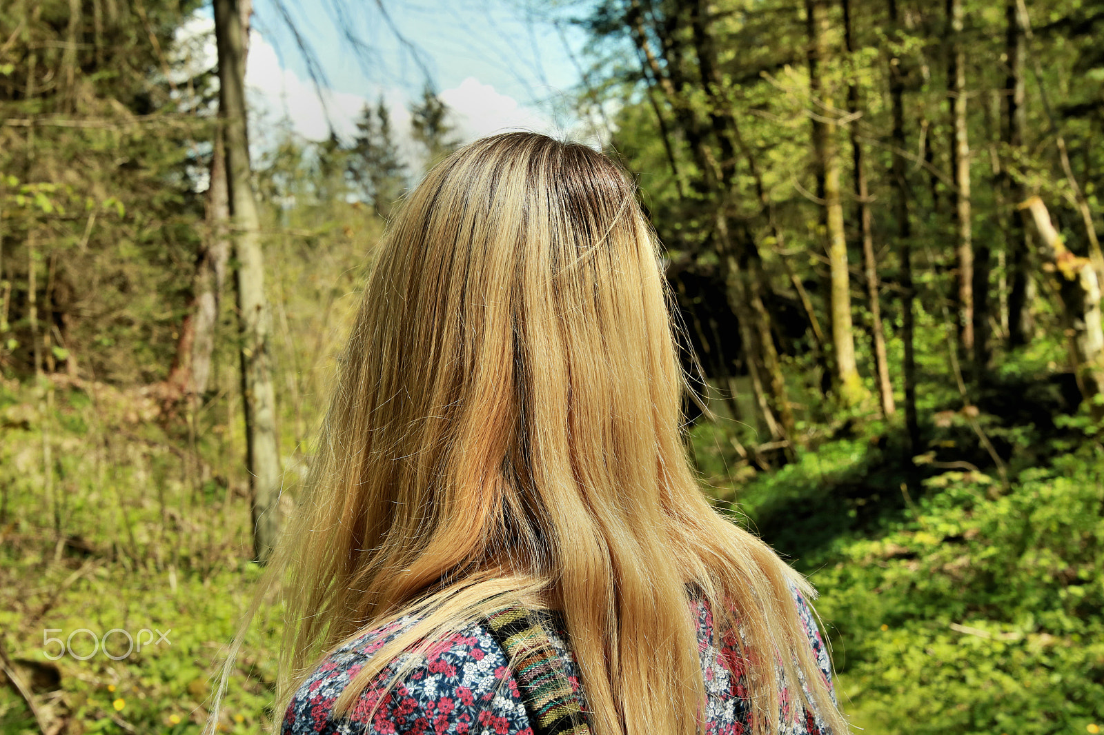 Canon EOS 750D (EOS Rebel T6i / EOS Kiss X8i) sample photo. In the wood3 photography