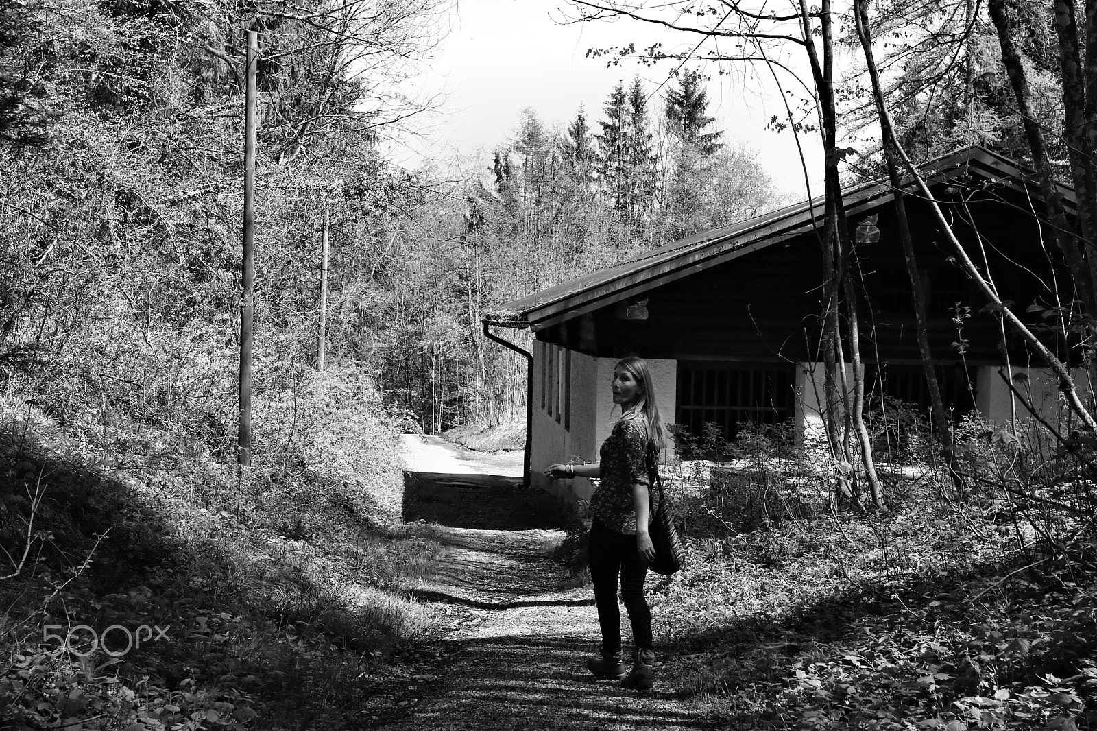 Canon EOS 750D (EOS Rebel T6i / EOS Kiss X8i) sample photo. Take a walk on the wild side photography