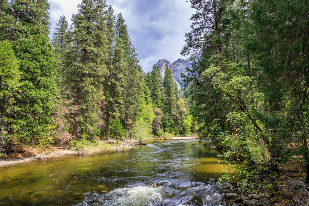 Canon EOS-1D Mark II sample photo. Merced river photography