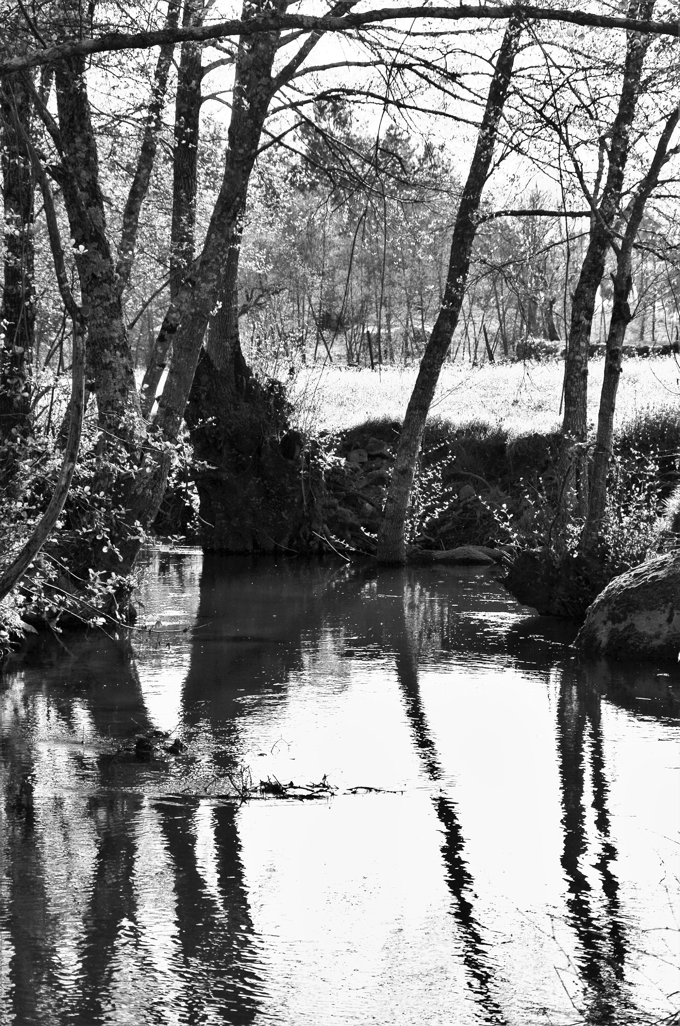 HD Pentax DA 55-300mm F4.0-5.8 ED WR sample photo. Home beyond the world photography