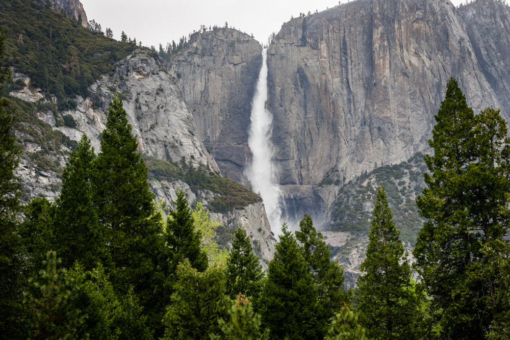 Canon EOS-1D Mark II sample photo. Yosemite falls photography