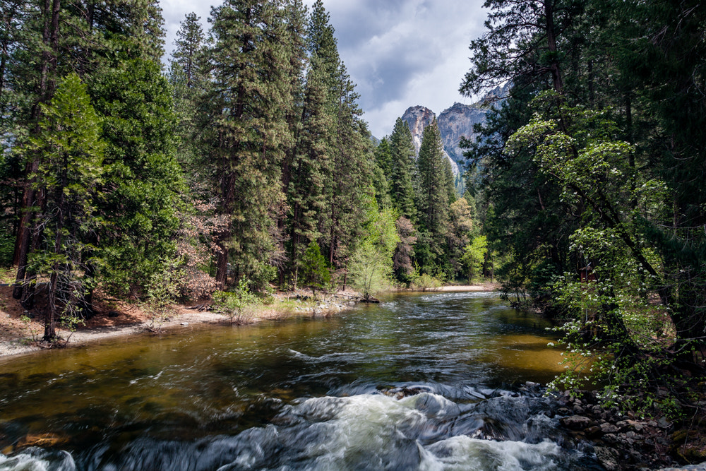 Canon EOS-1D Mark II sample photo. Merced river 2 photography