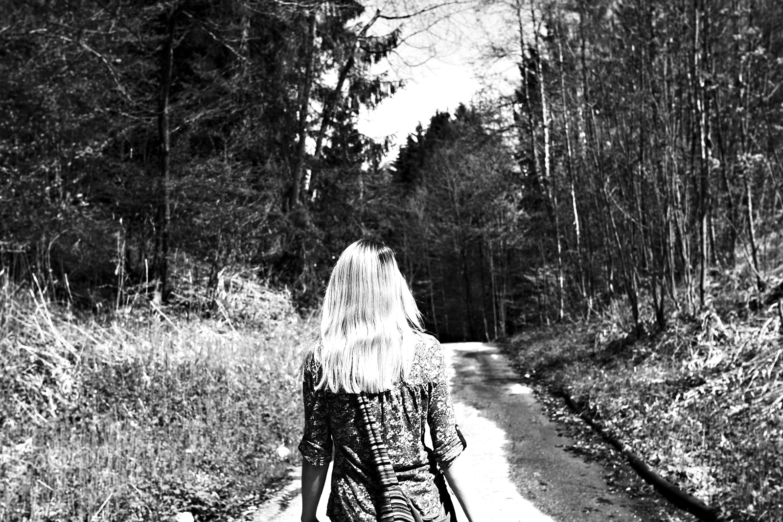 Canon EOS 750D (EOS Rebel T6i / EOS Kiss X8i) sample photo. Take a walk in the woods bw photography